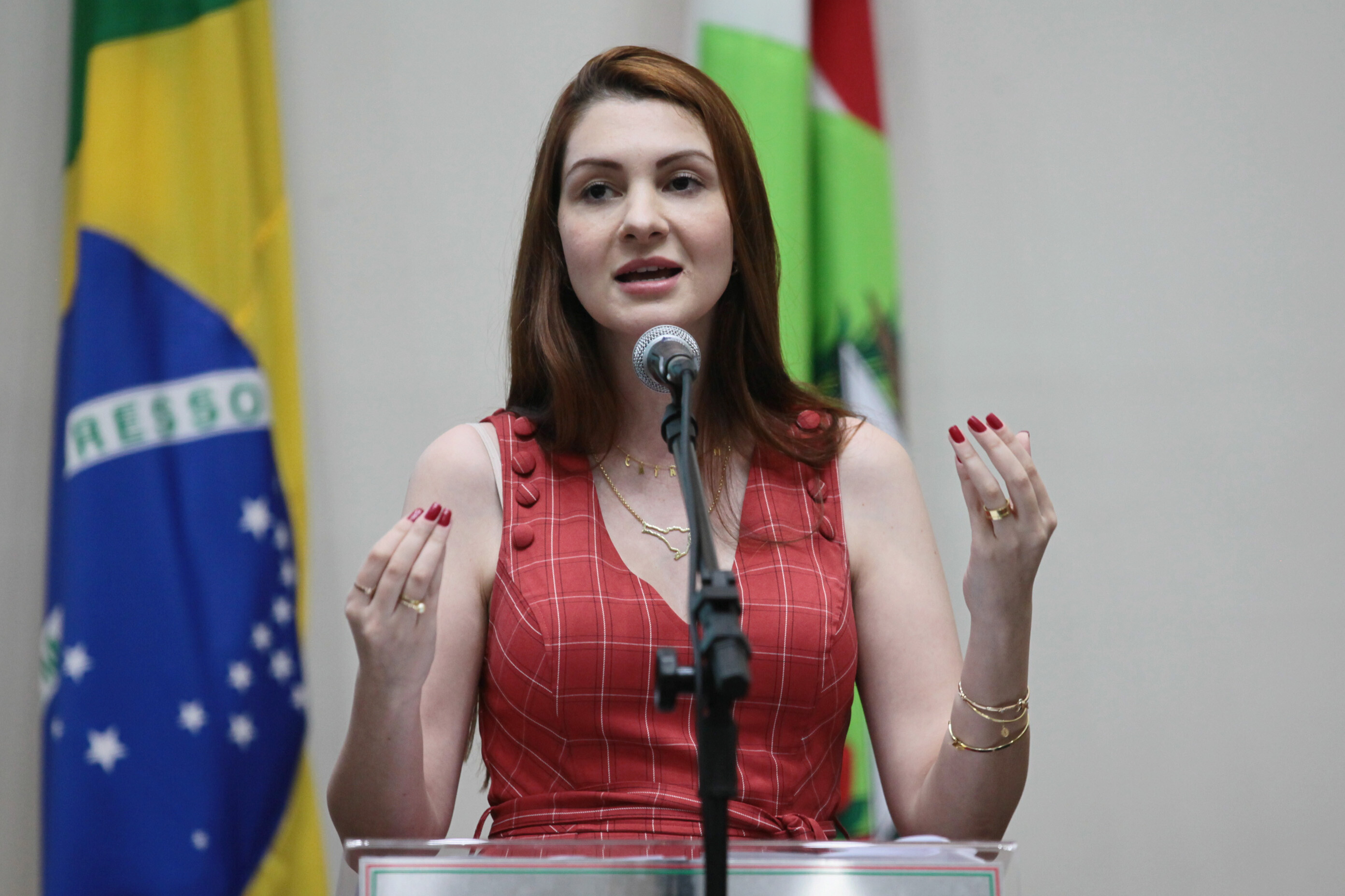 Campagnolo apresenta PL do Lockdown à comitiva de Itajaí