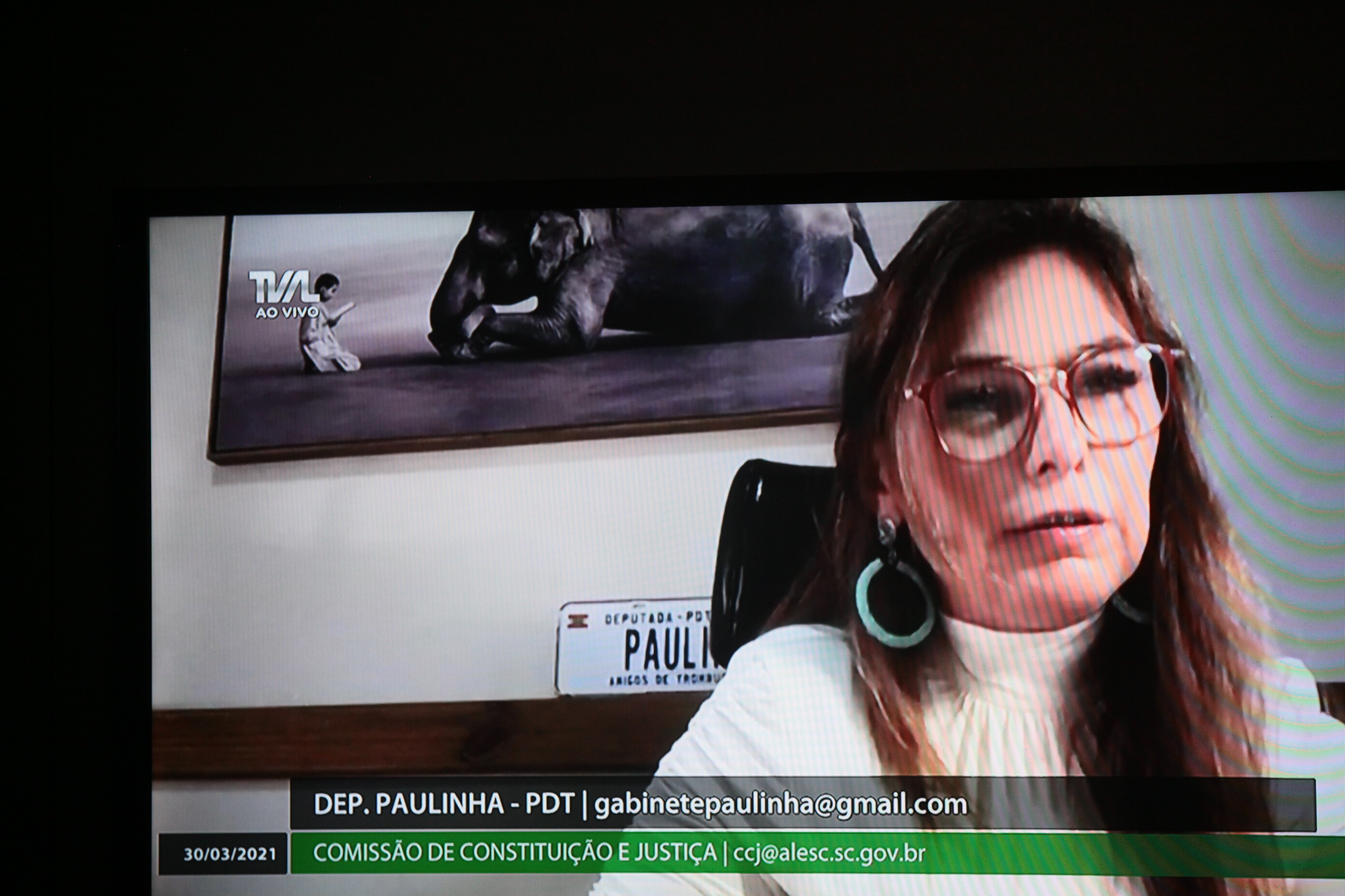 Deputada Paulinha