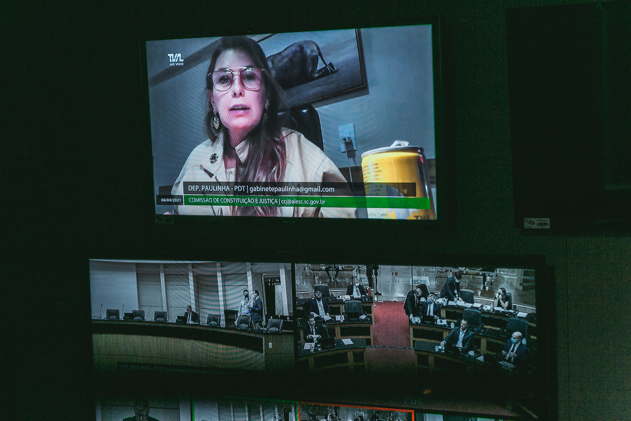 Deputada Ana Paula da Silva (PDT)