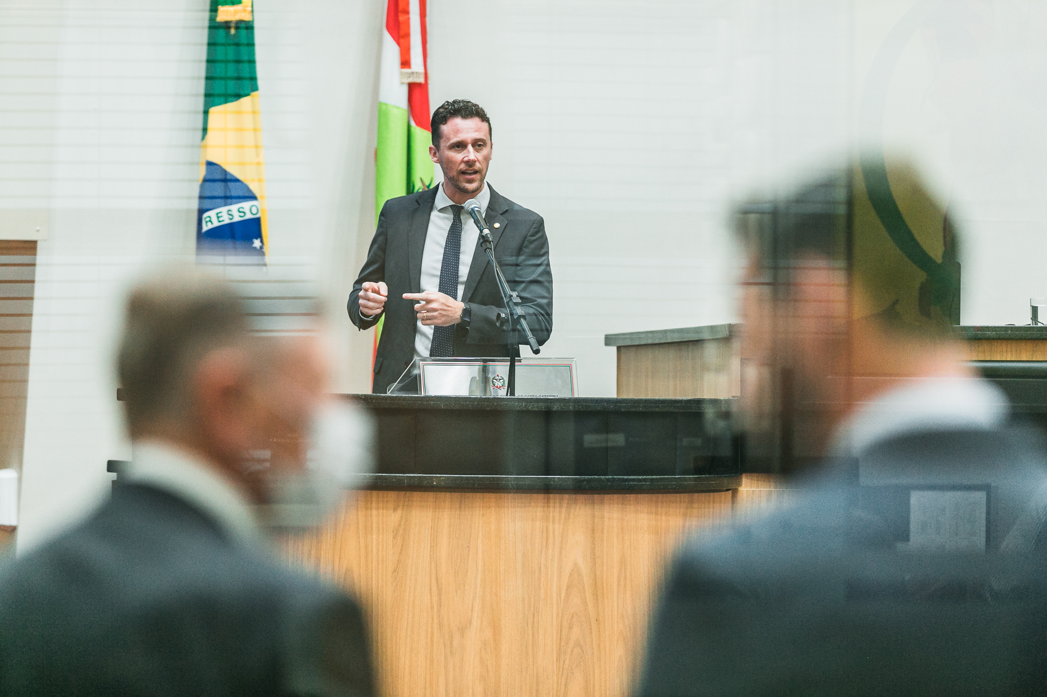 Deputado Fernando Krelling (MDB)