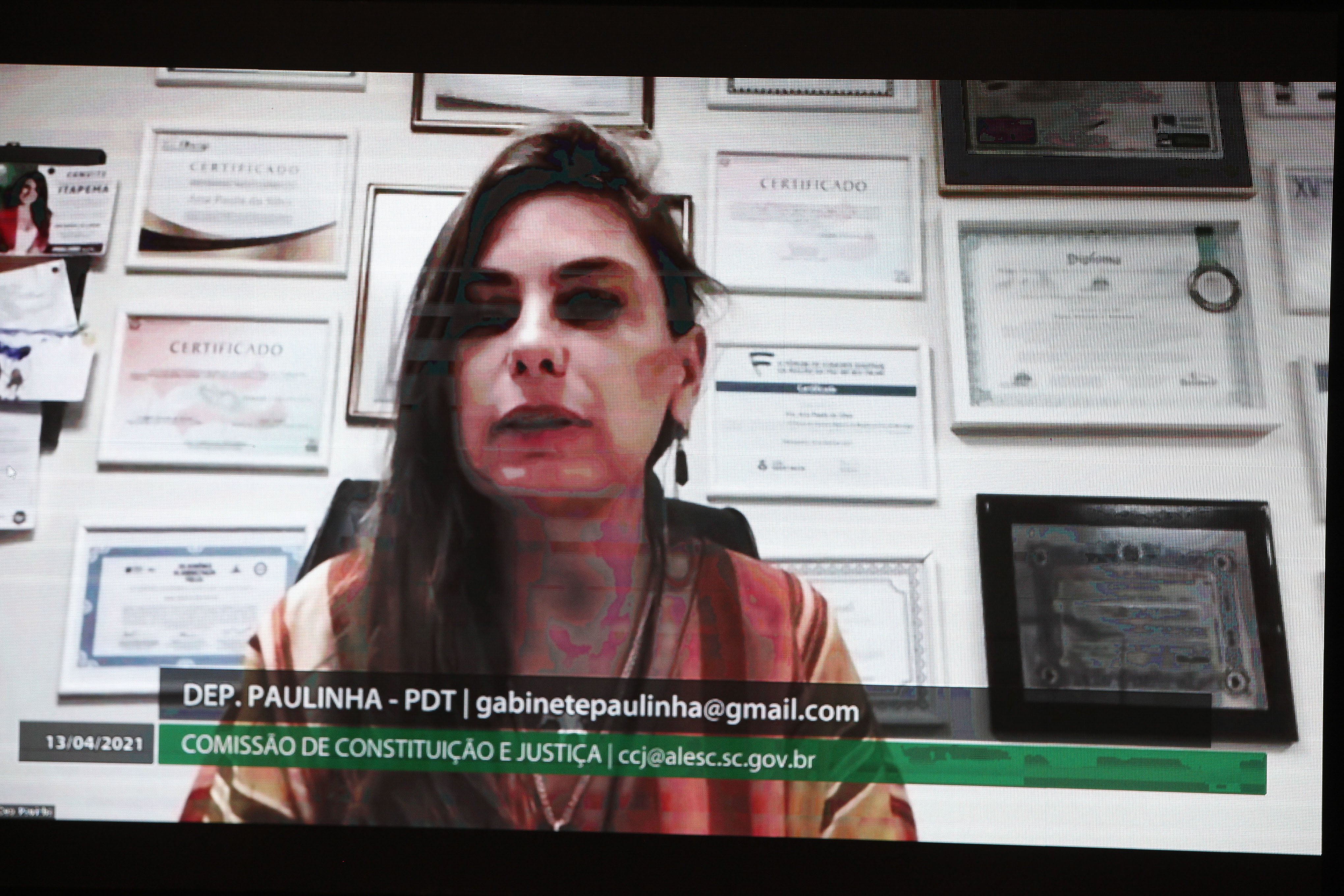 Deputada Ana Paula da Silva (PDT)