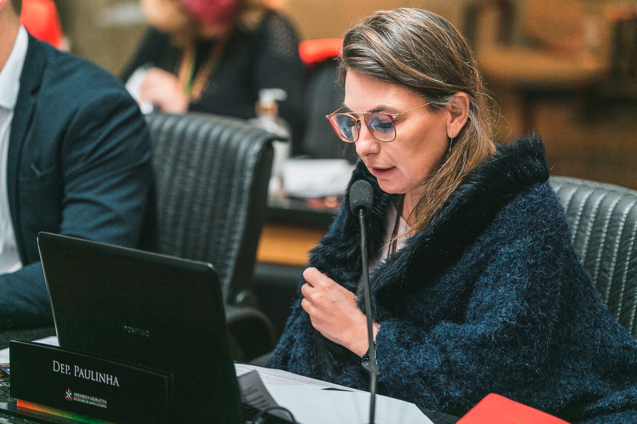 Deputada Ana Paula da Silva (PDT)