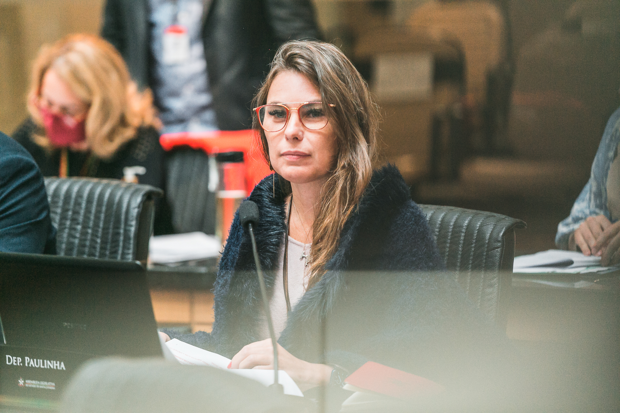 Deputada Ana Paula da Silva (PDT)