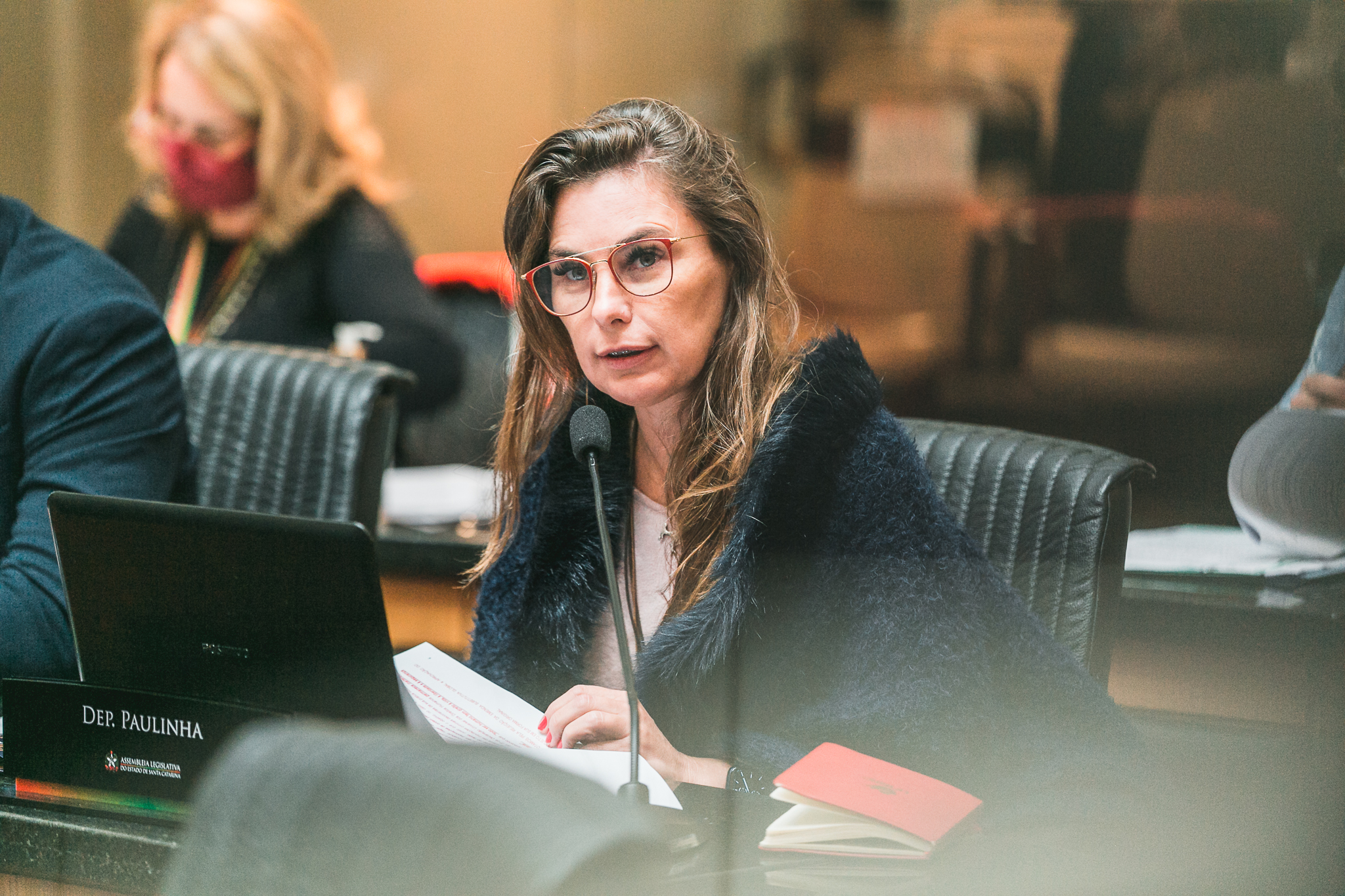 Deputada Ana Paula da Silva (PDT)