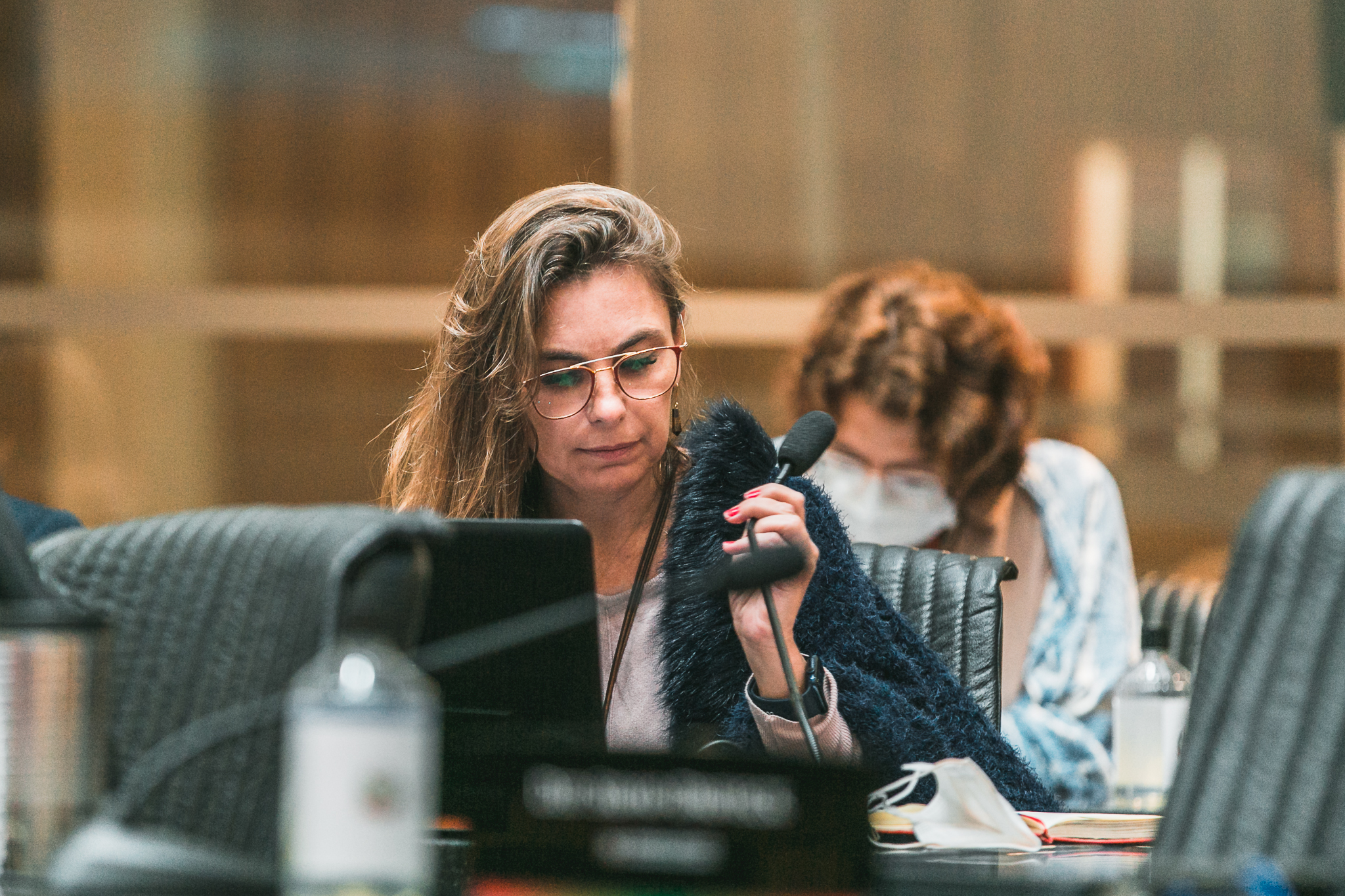 Deputada Ana Paula da Silva (PDT)