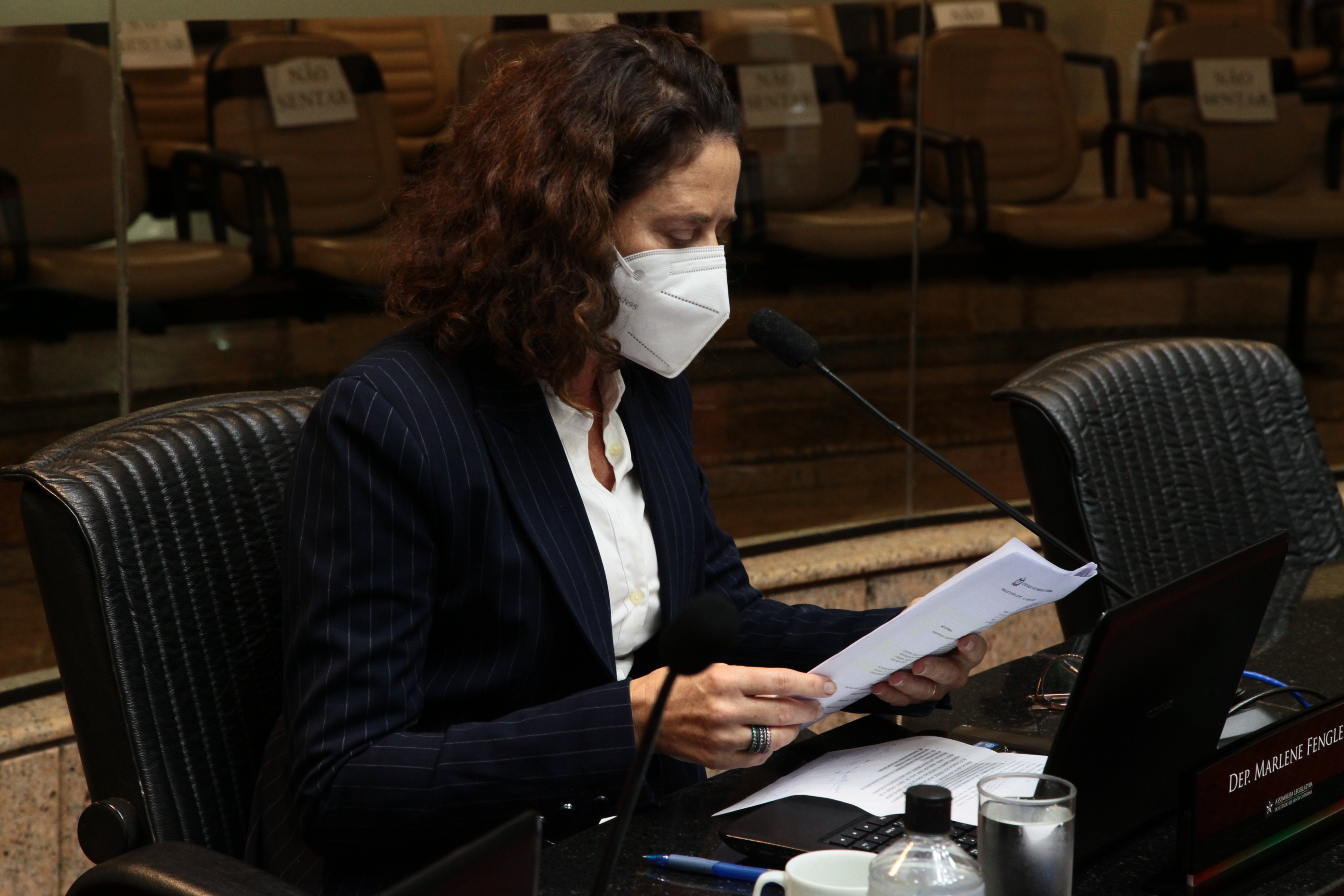 Comissão de Finanças e Tributação - Deputada Marlene Fengler (PSD)