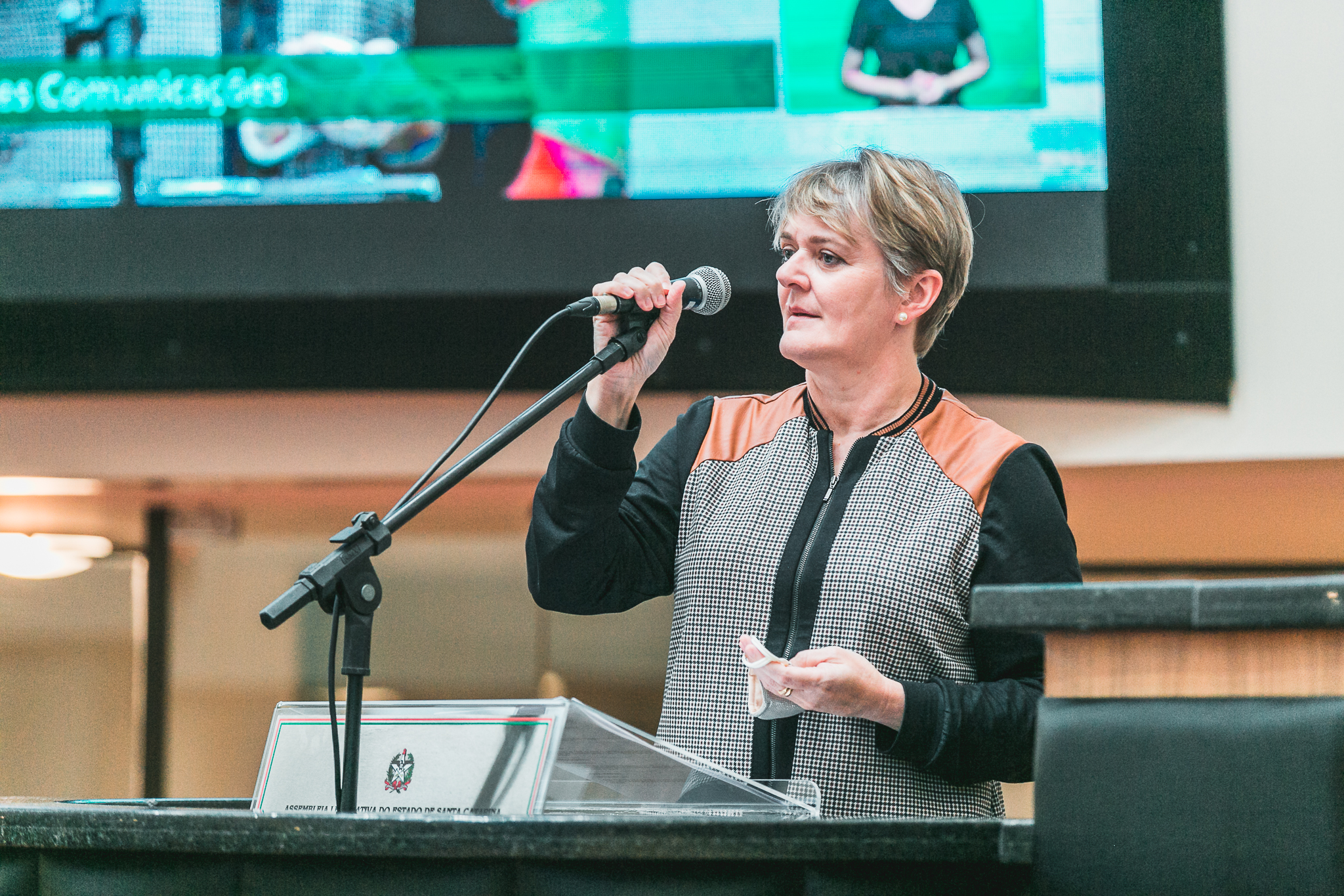Deputada Luciane Carminatti (PT)