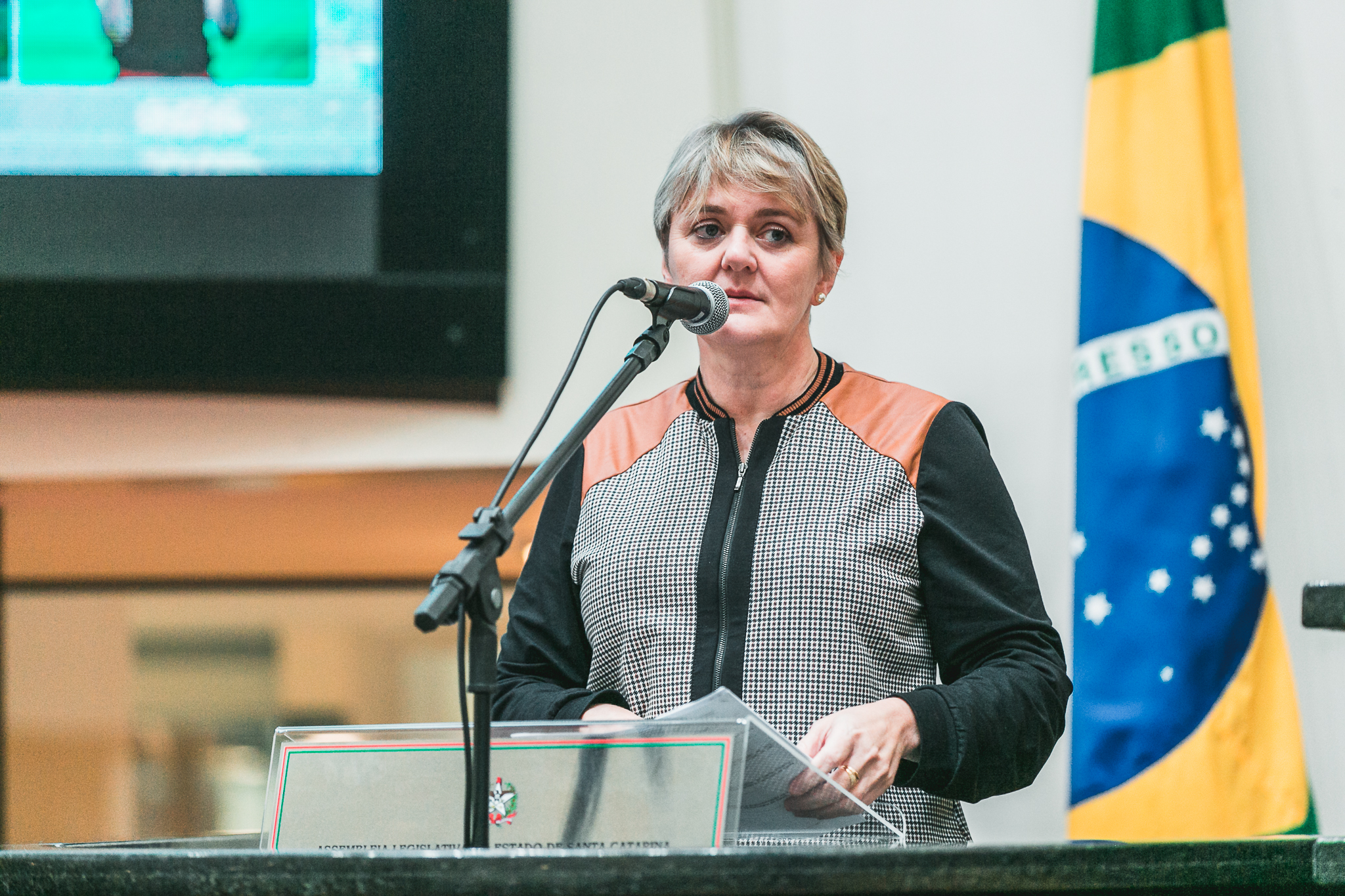 Deputada Luciane Carminatti (PT)