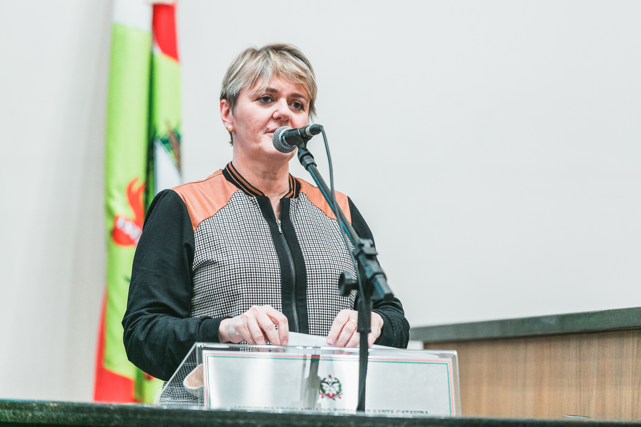 Deputada Luciane Carminatti (PT)