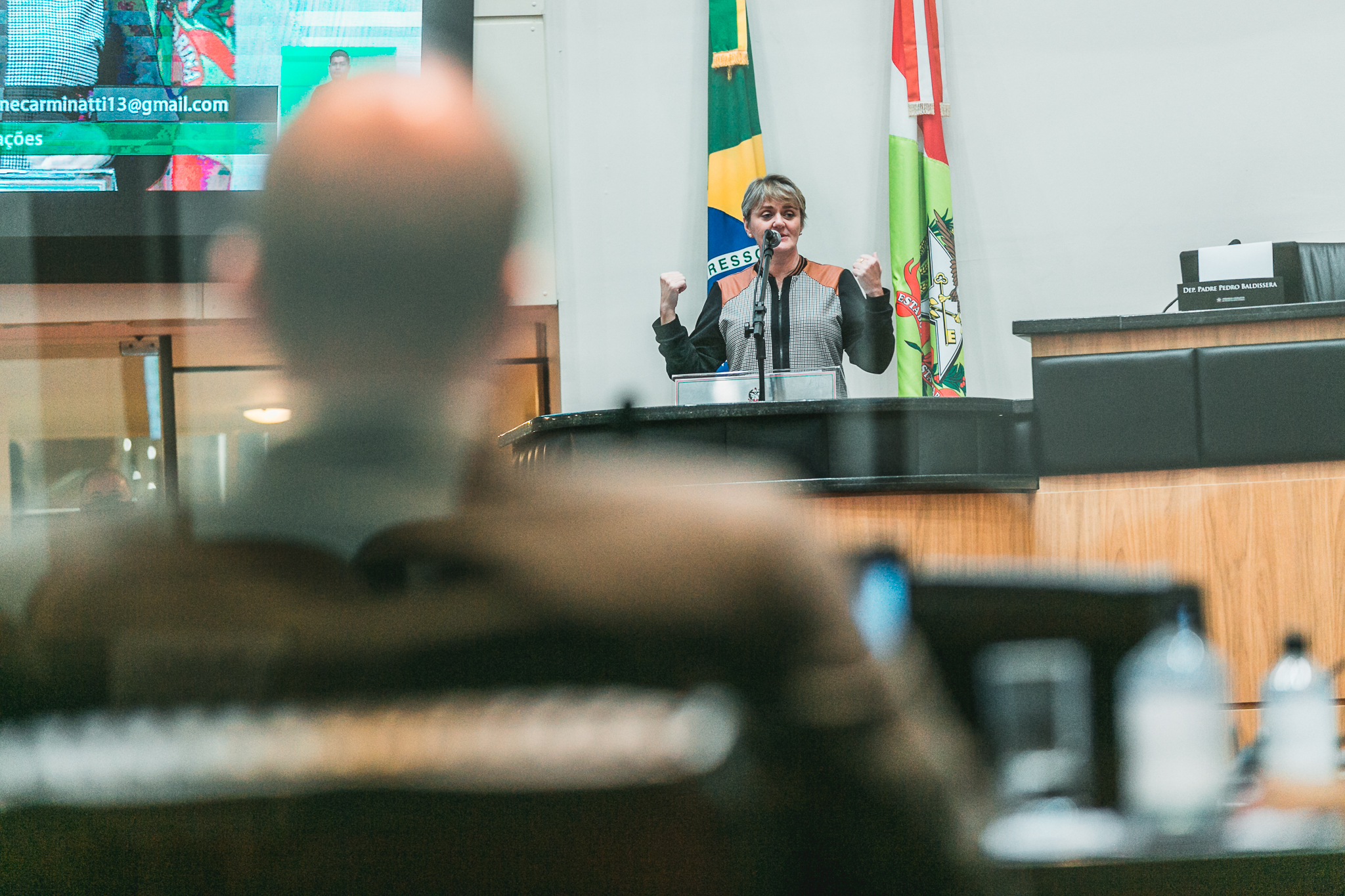 Deputada Luciane Carminatti (PT)