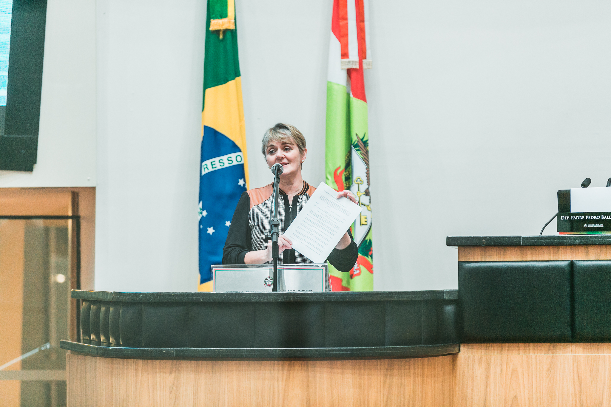 Deputada Luciane Carminatti (PT)