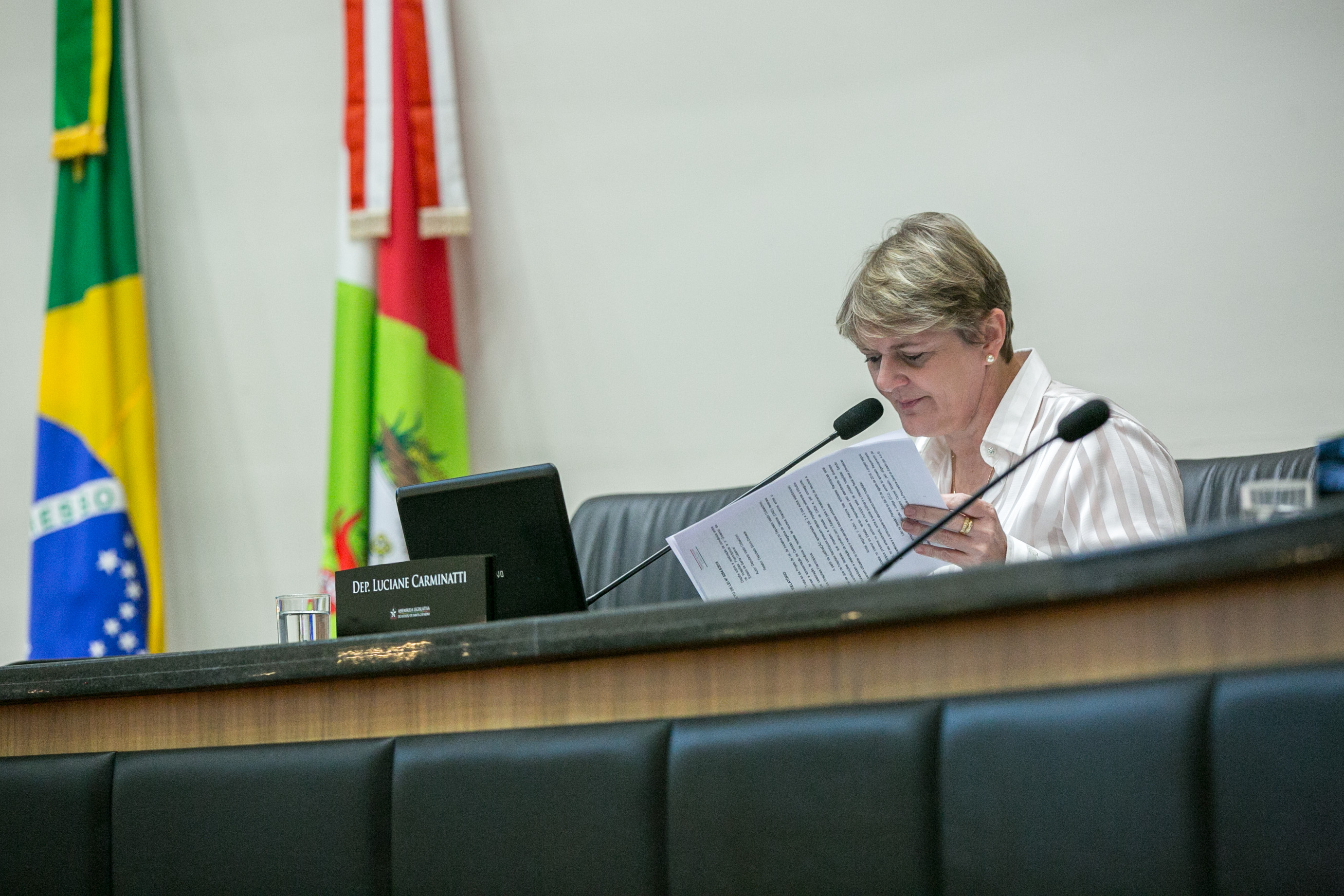 Deputada Luciane Carminatti (PT)