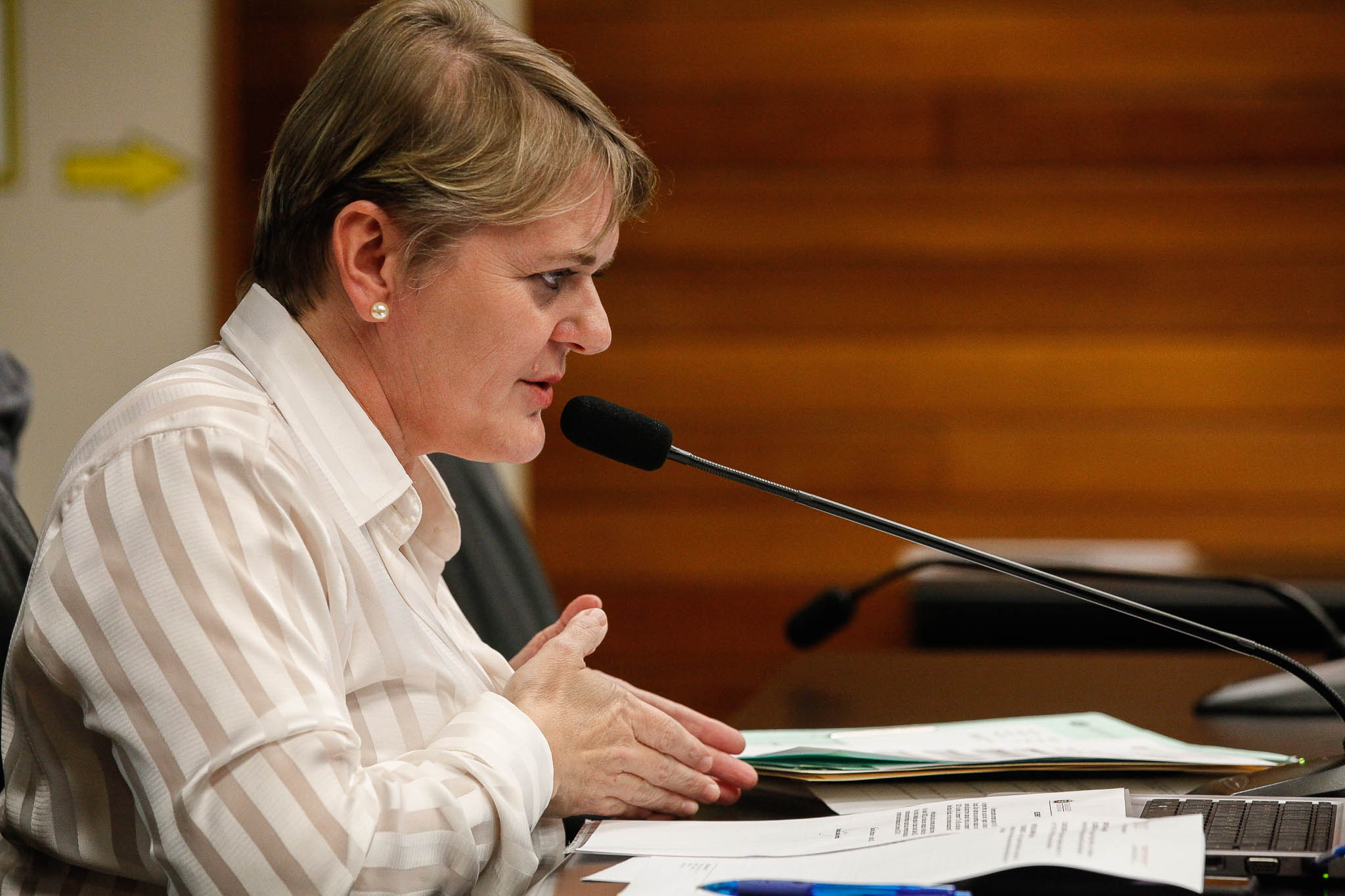 Deputada Luciane Carminatti (PT)