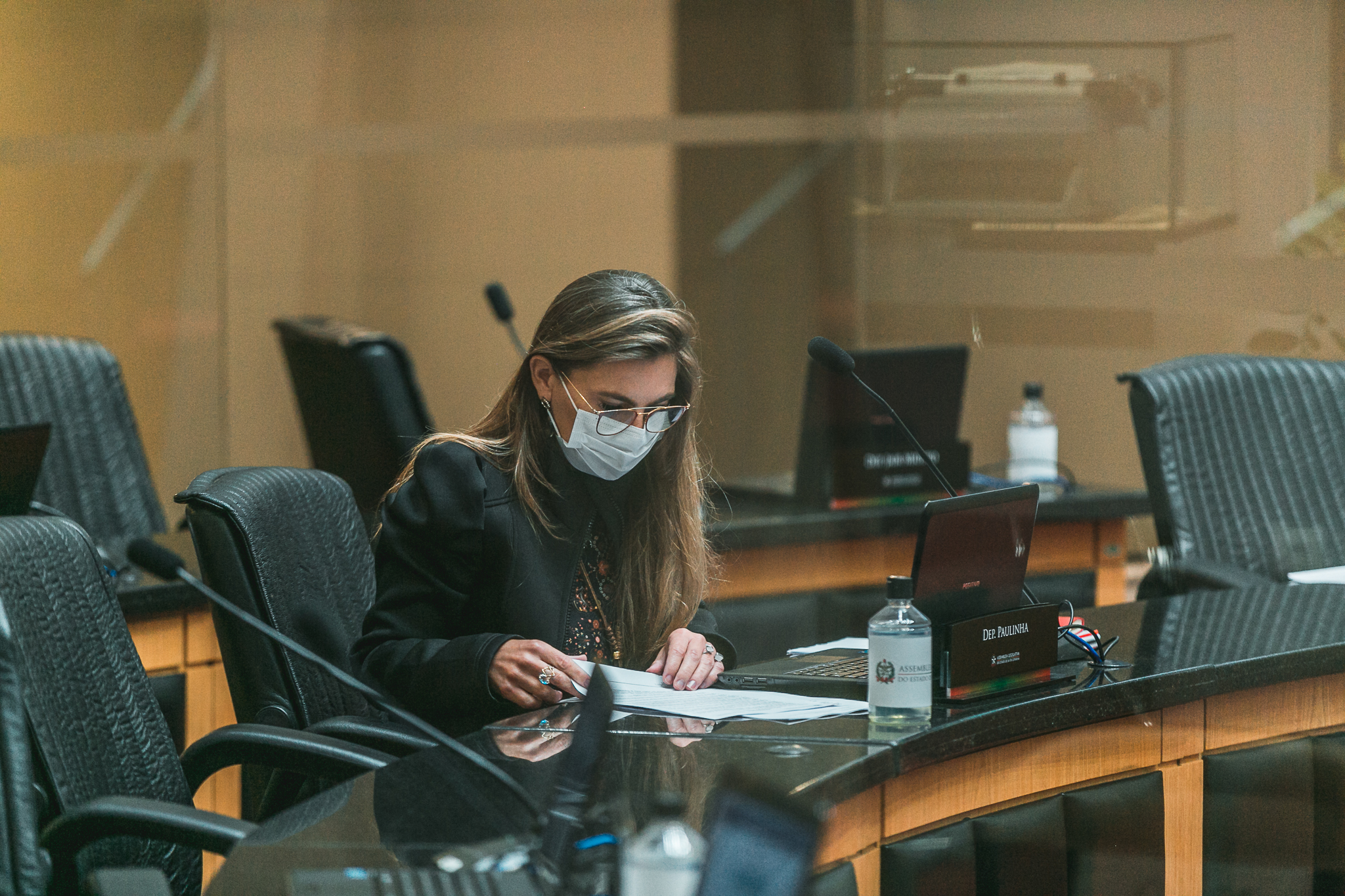 Deputada Ana Paula da Silva (PDT)