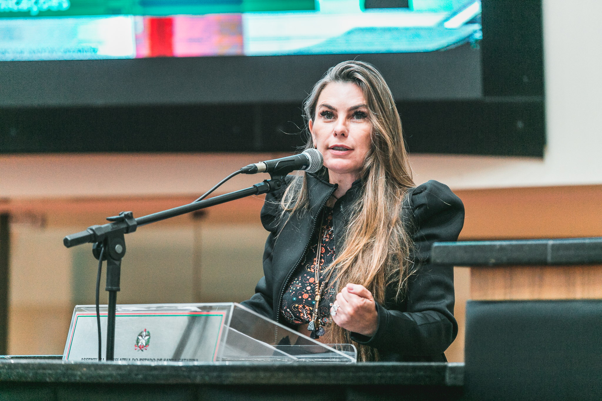 Deputada Ana Paula da Silva (PDT)