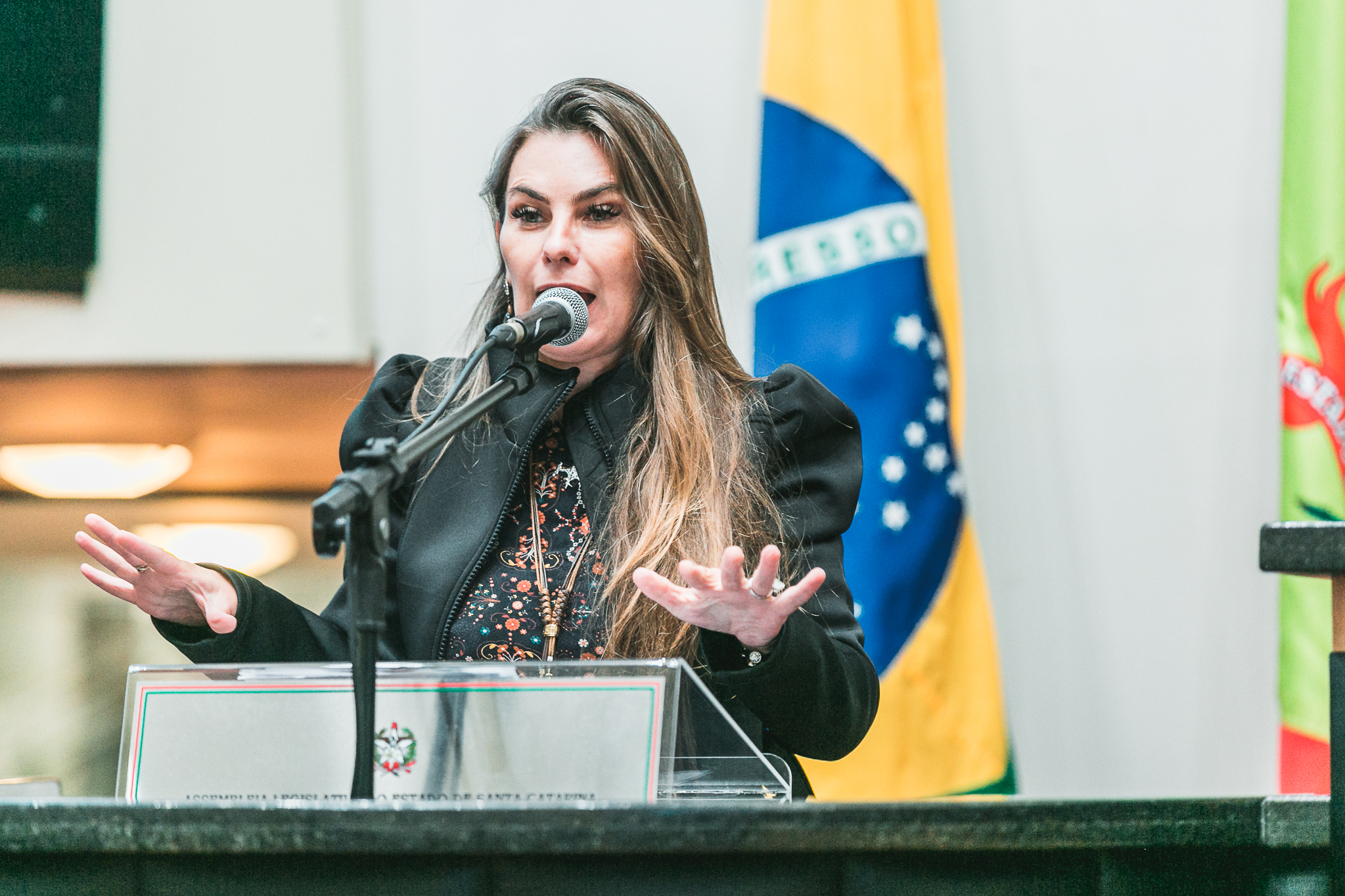 Deputada Ana Paula da Silva (PDT)