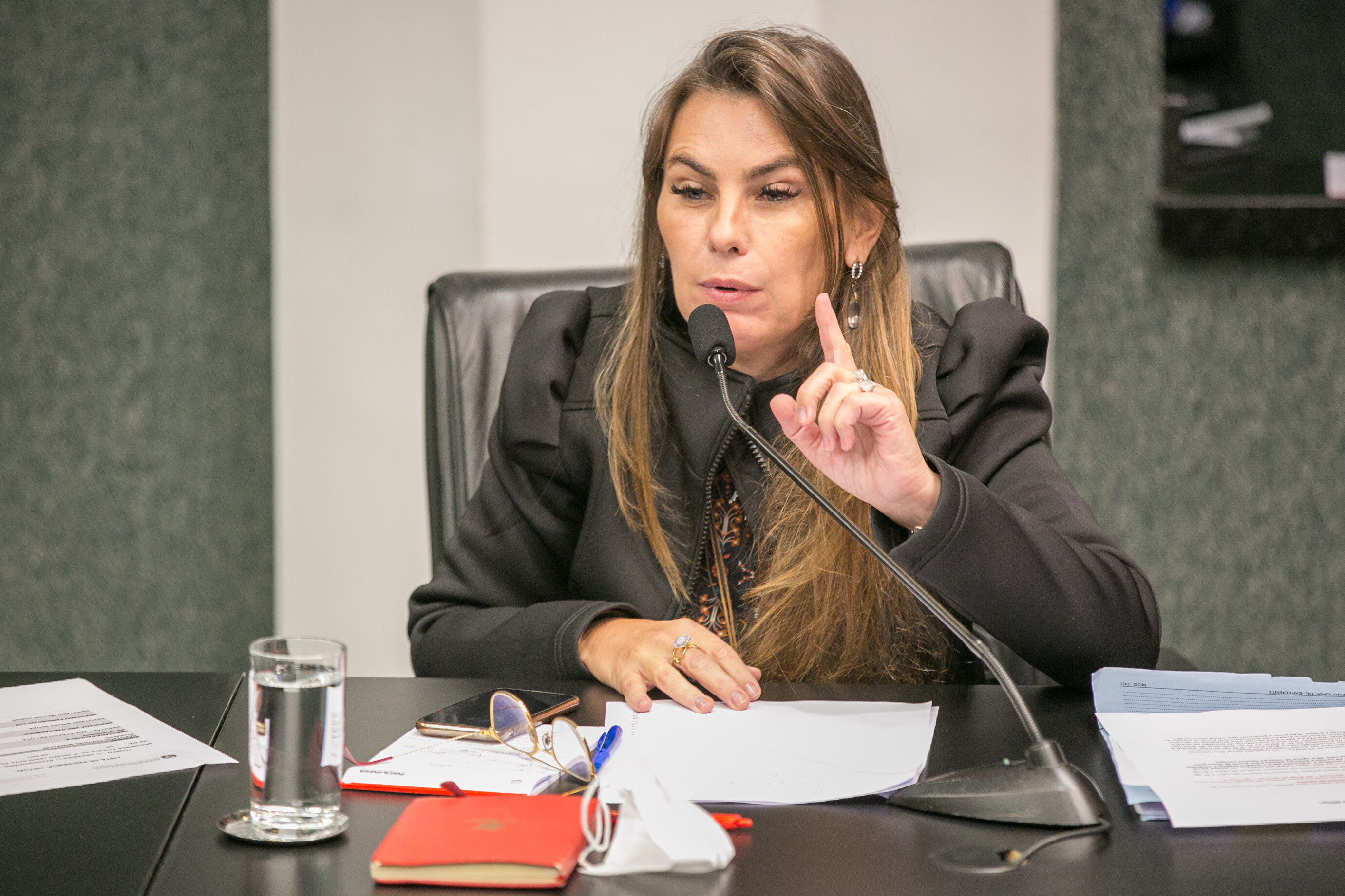 Deputada Paulinha