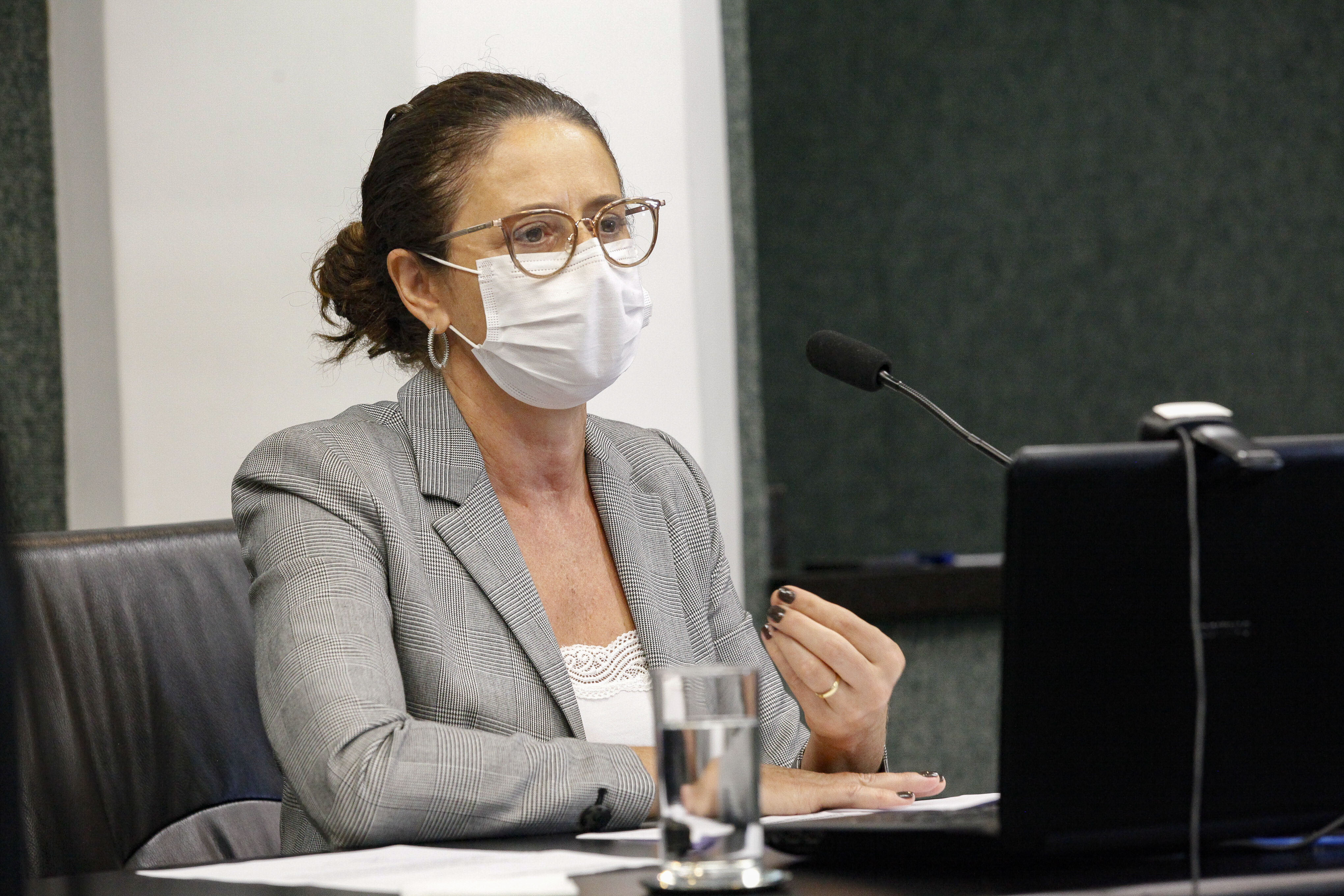 Deputada Marlene Fengler