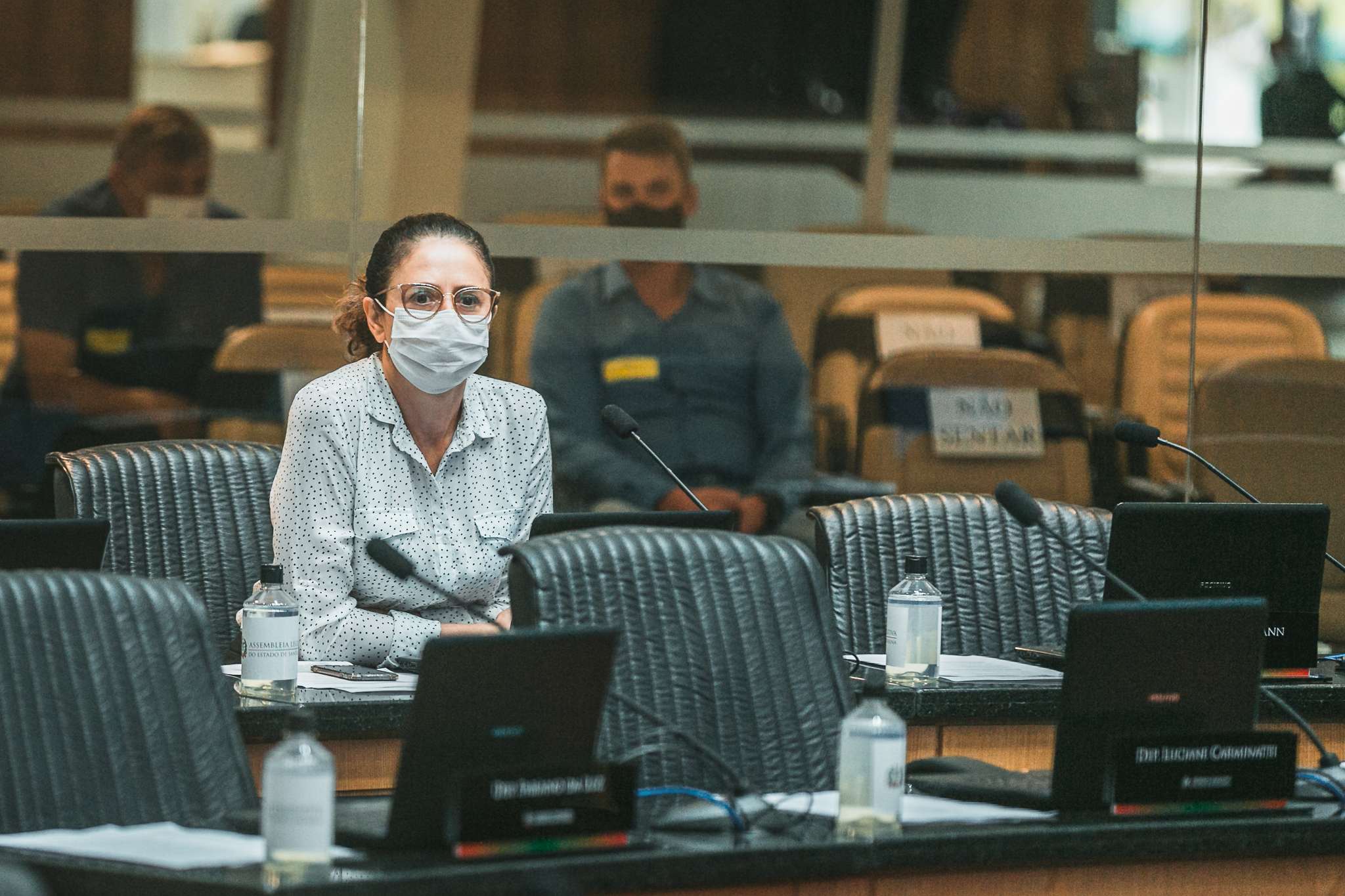 Deputada Marlene Fengler (PSD)