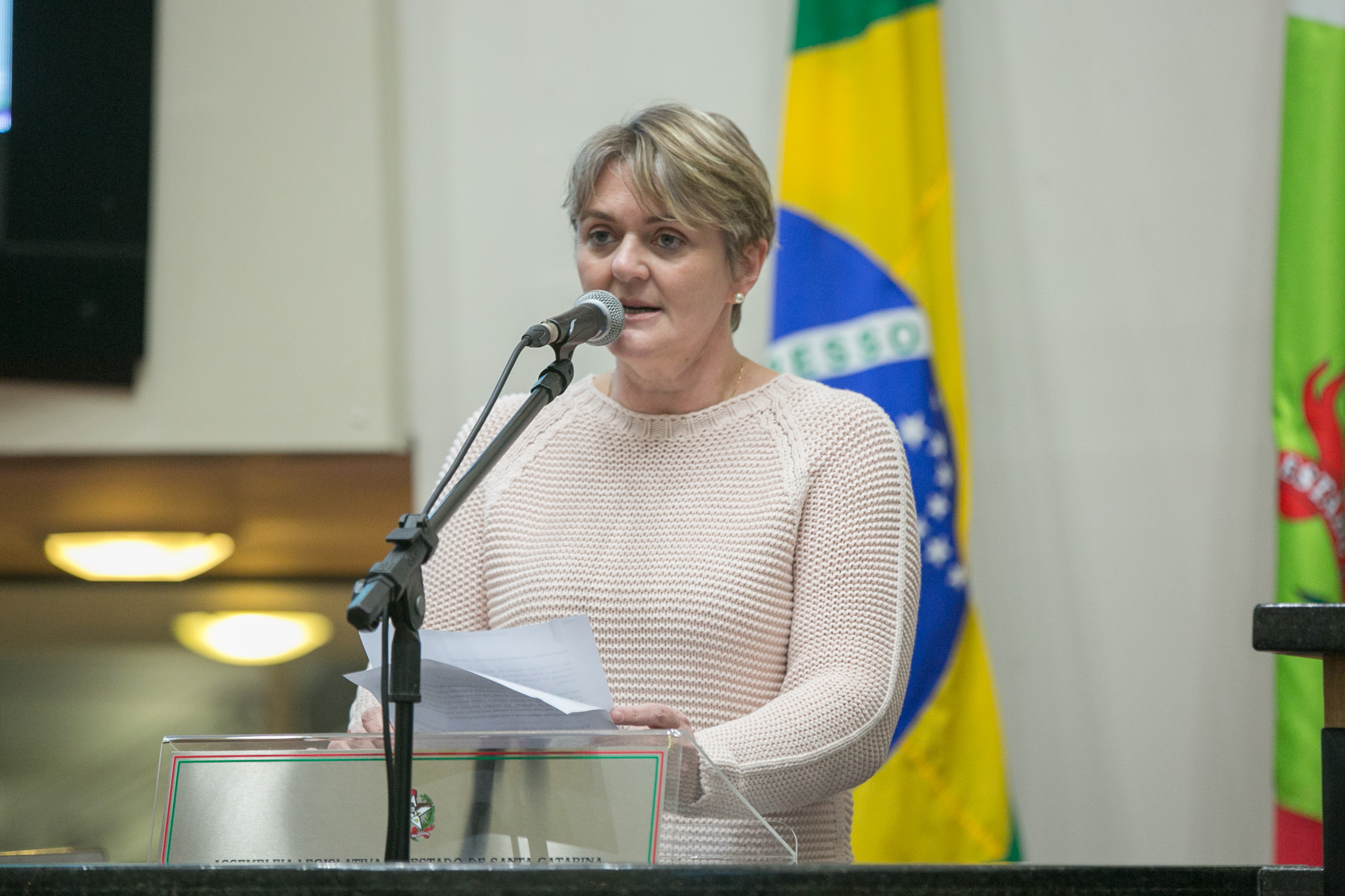 Deputada Luciane Carminatti (PT)