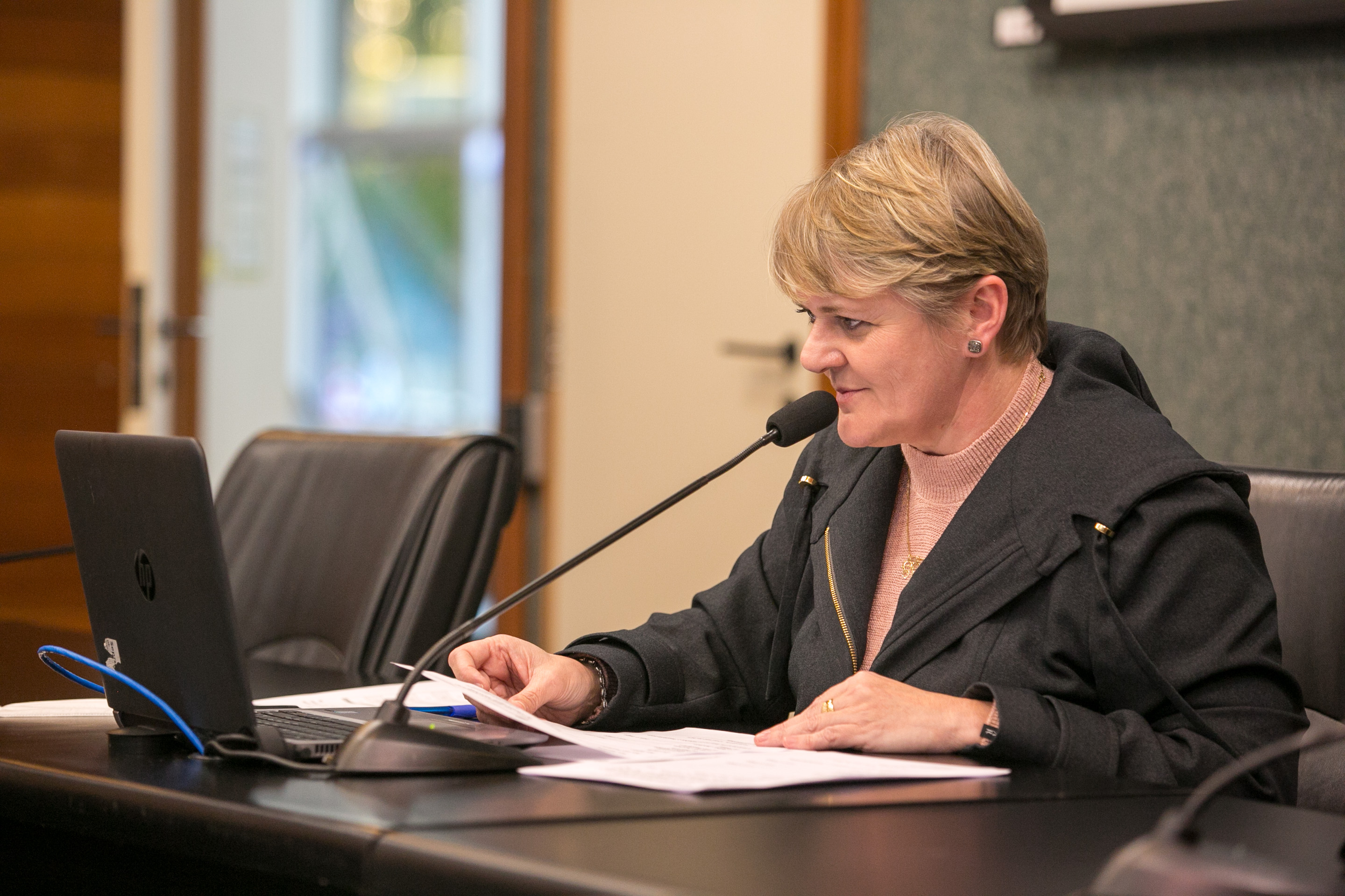 Deputada Luciane Carminatti (PT)