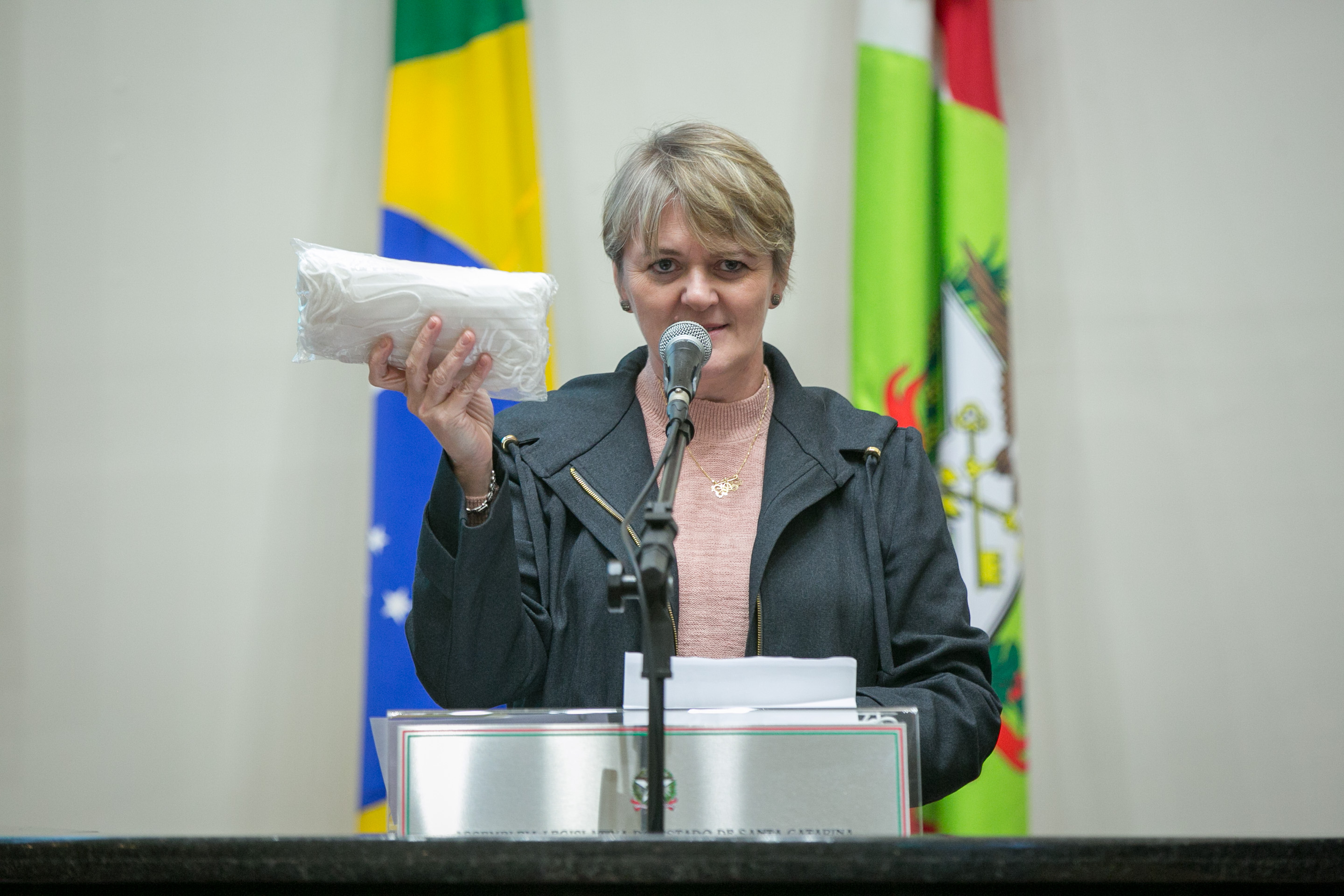 Deputada Luciane Carminatti (PT)