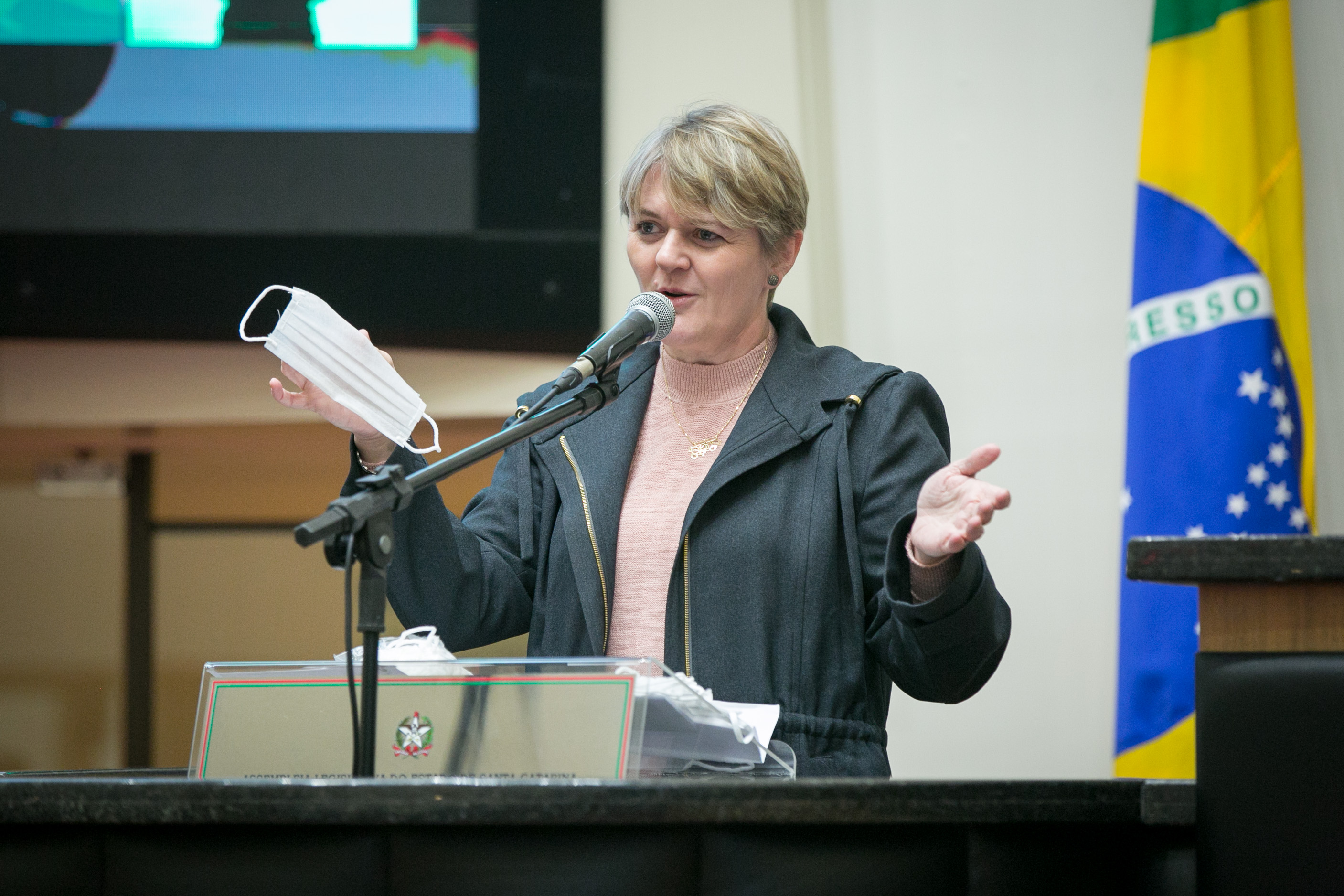 Deputada Luciane Carminatti (PT)