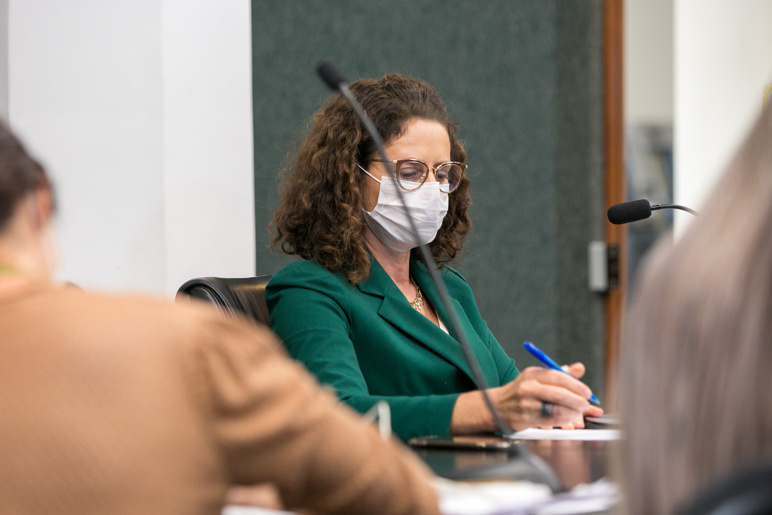 Deputada Marlene Fengler (PSD)