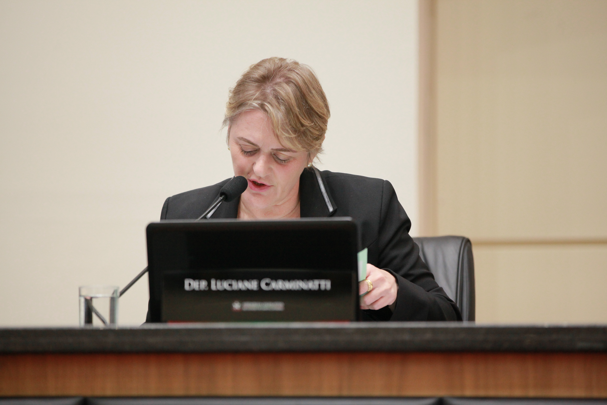 Deputada Luciane Carminatti (PT)