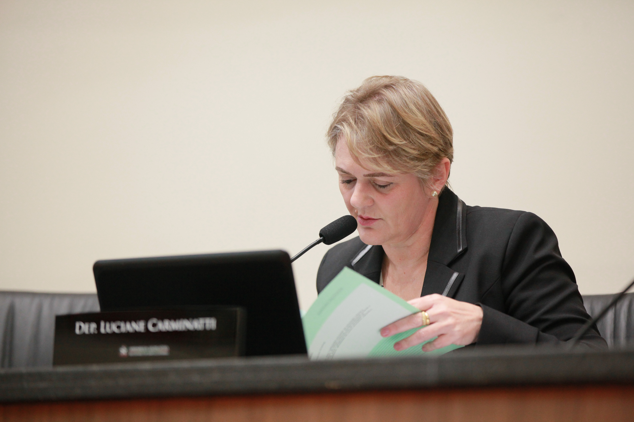 Deputada Luciane Carminatti (PT)