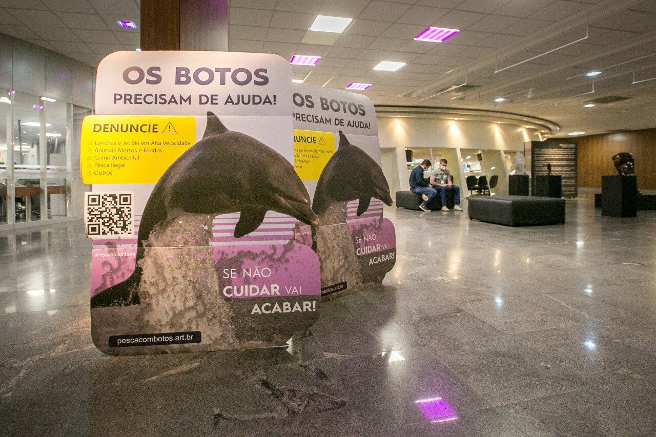 Dia Estadual da Preservação do Boto Pescador é celebrado com totens