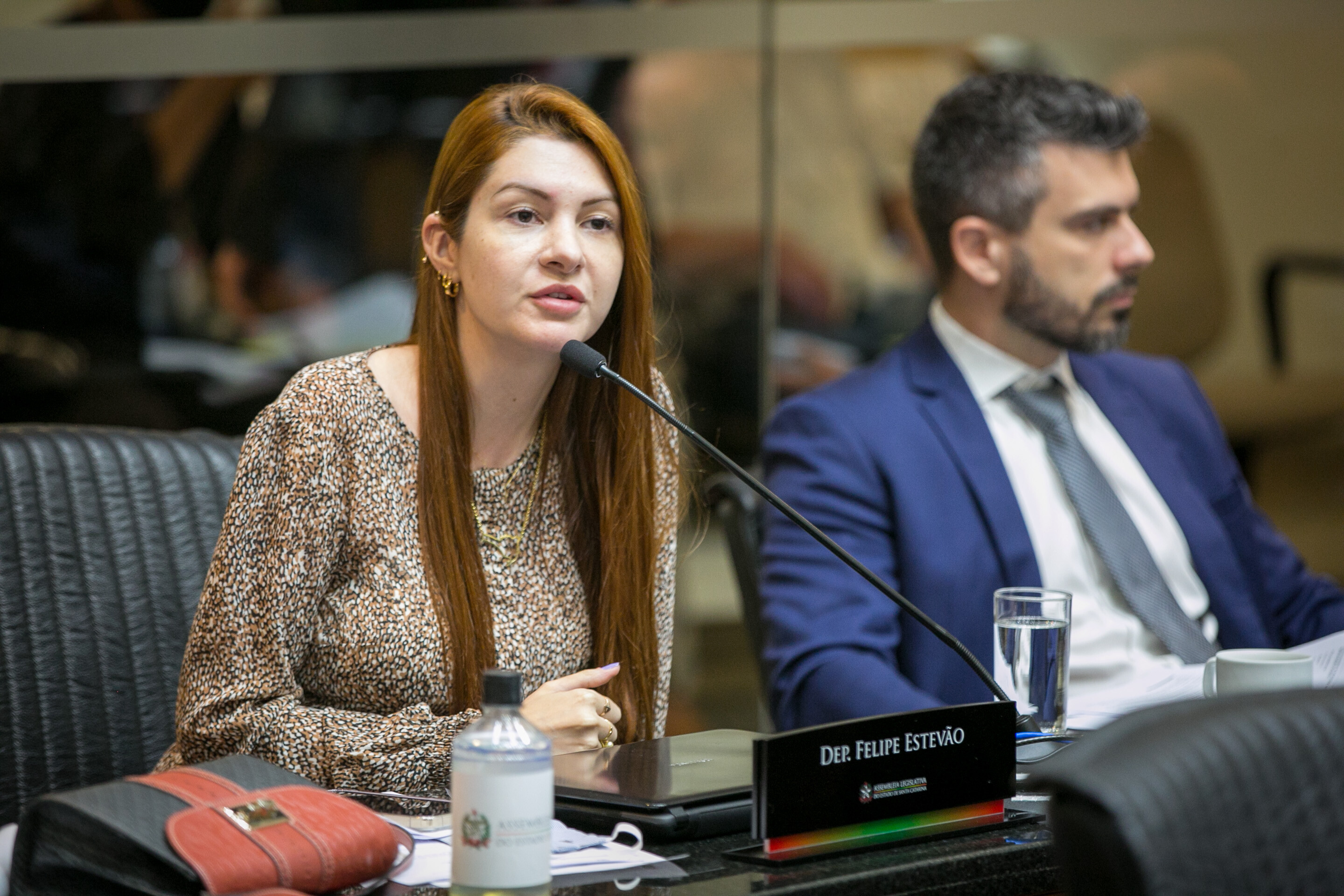 Acompanhe as ações de Ana Campagnolo no período de 3 a 8/05