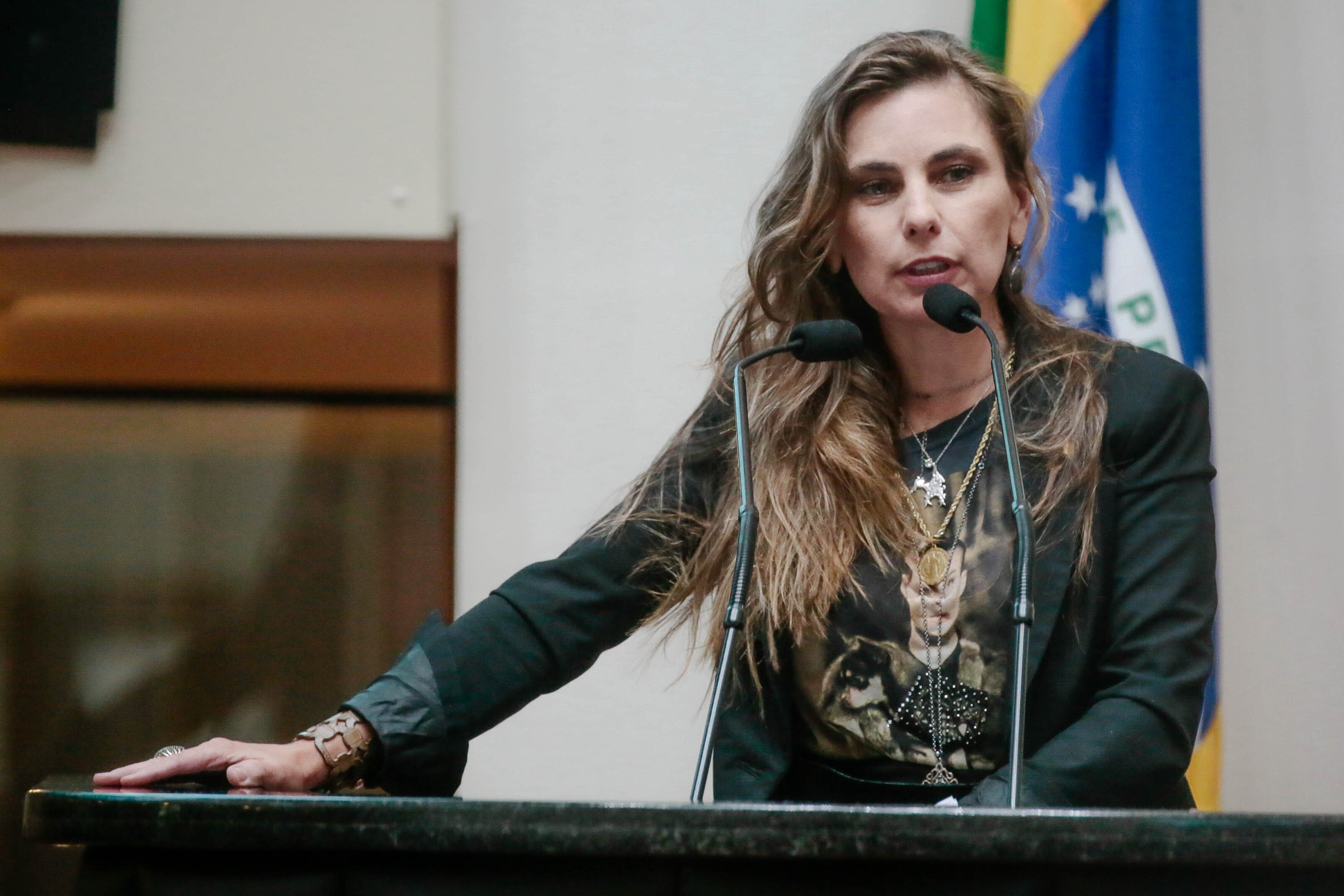 Paulinha protocola moção de pesar pela tragédia em Saudades