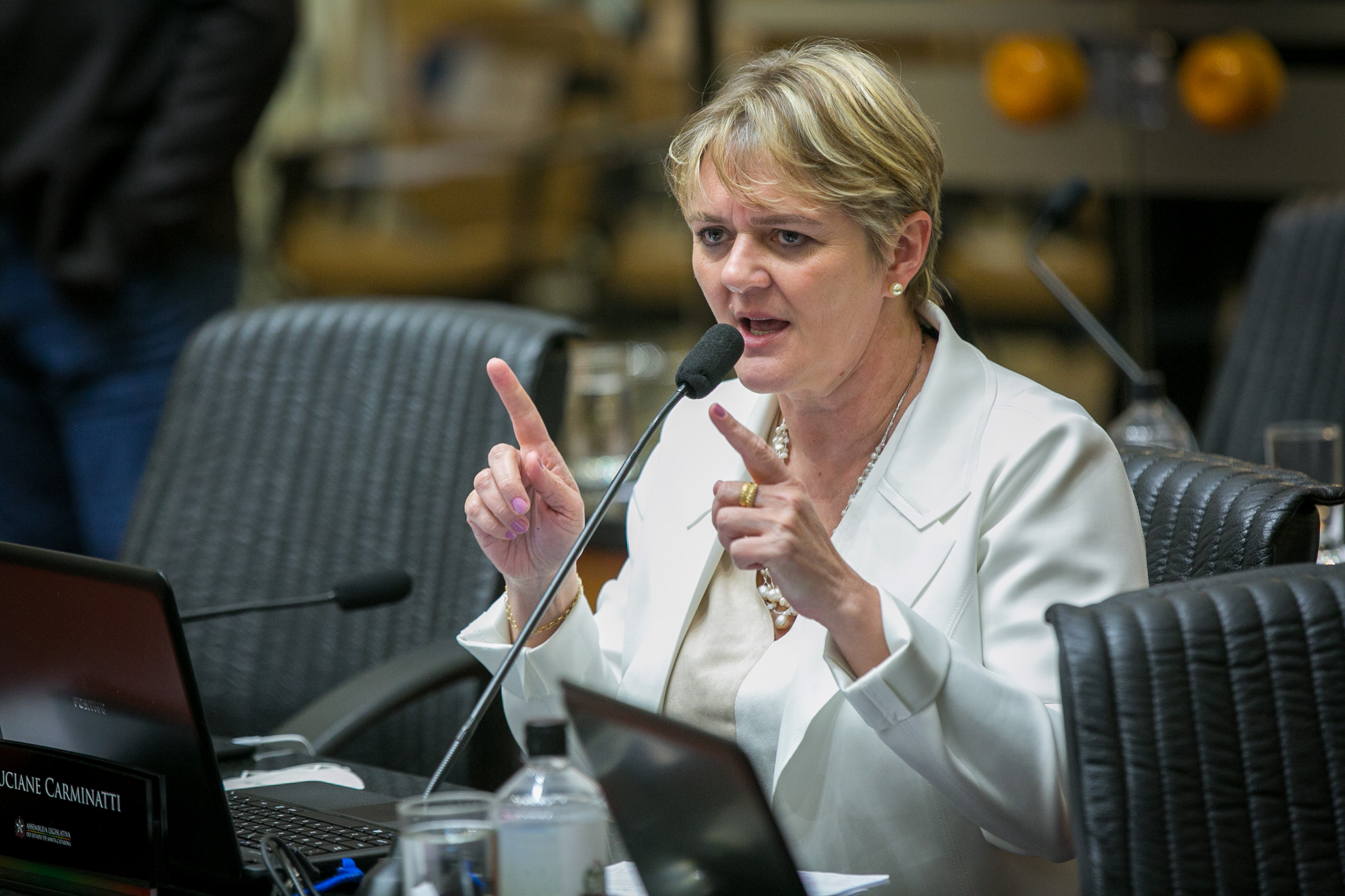 Deputada Luciane Carminatti (PT)