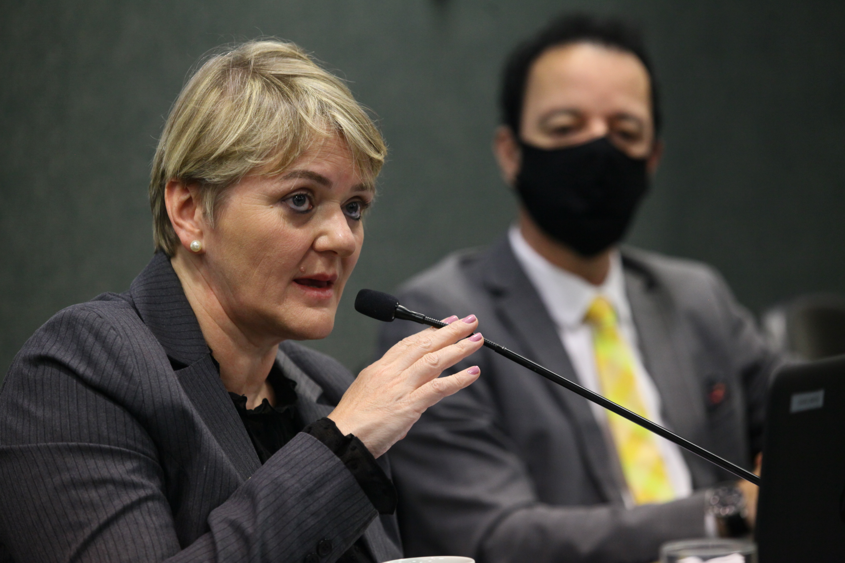 Reinstalação da Frente Parlamentar do Sistema Único de Assistência Social - SUAS - Deputada Luciane Carminatti (PT) e Deputado Ismael Santos (PSD)