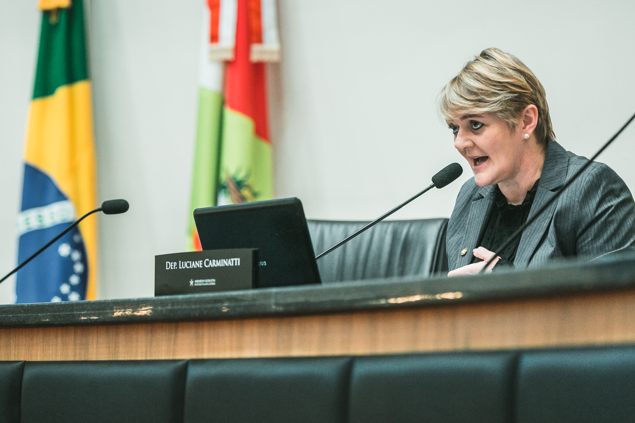 Deputada Luciane Carminatti (PT)