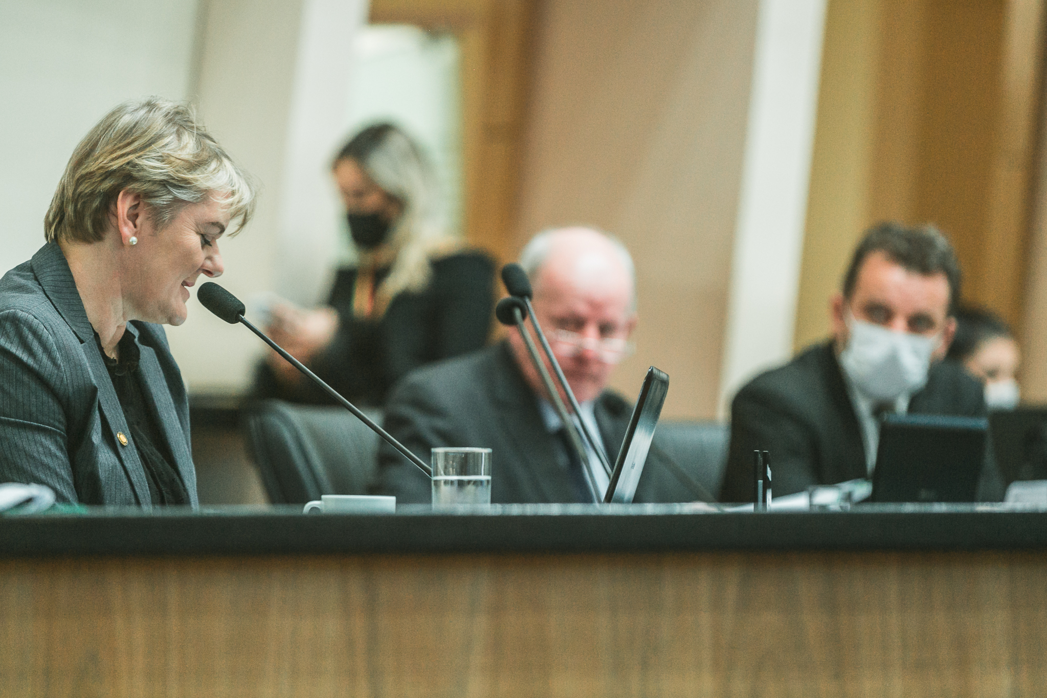 Deputada Luciane Carminatti (PT)