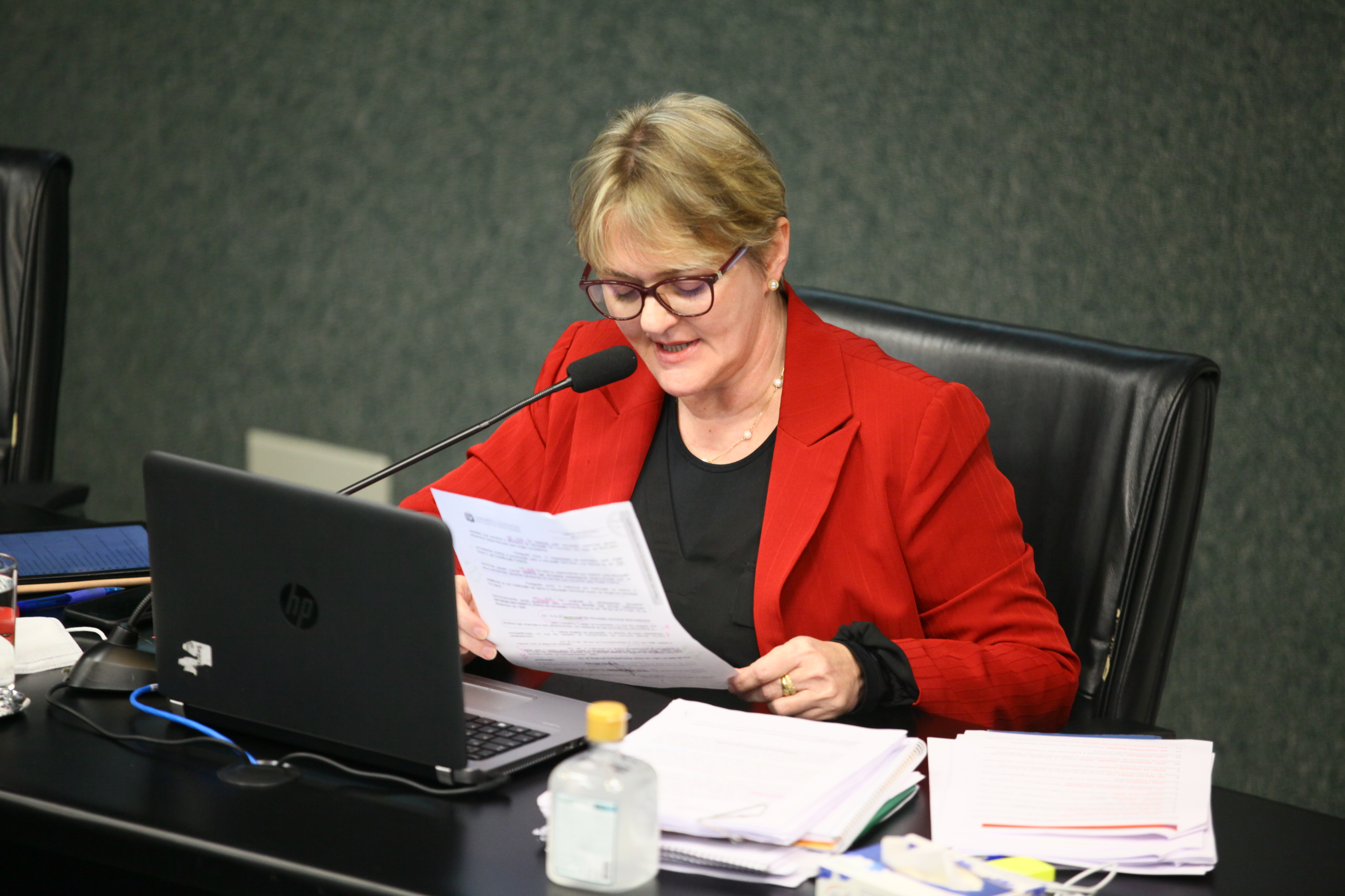Audiência Pública Virtual - Previsão de Educação Domiciliar - Deputada Luciane Carminatti (PT)