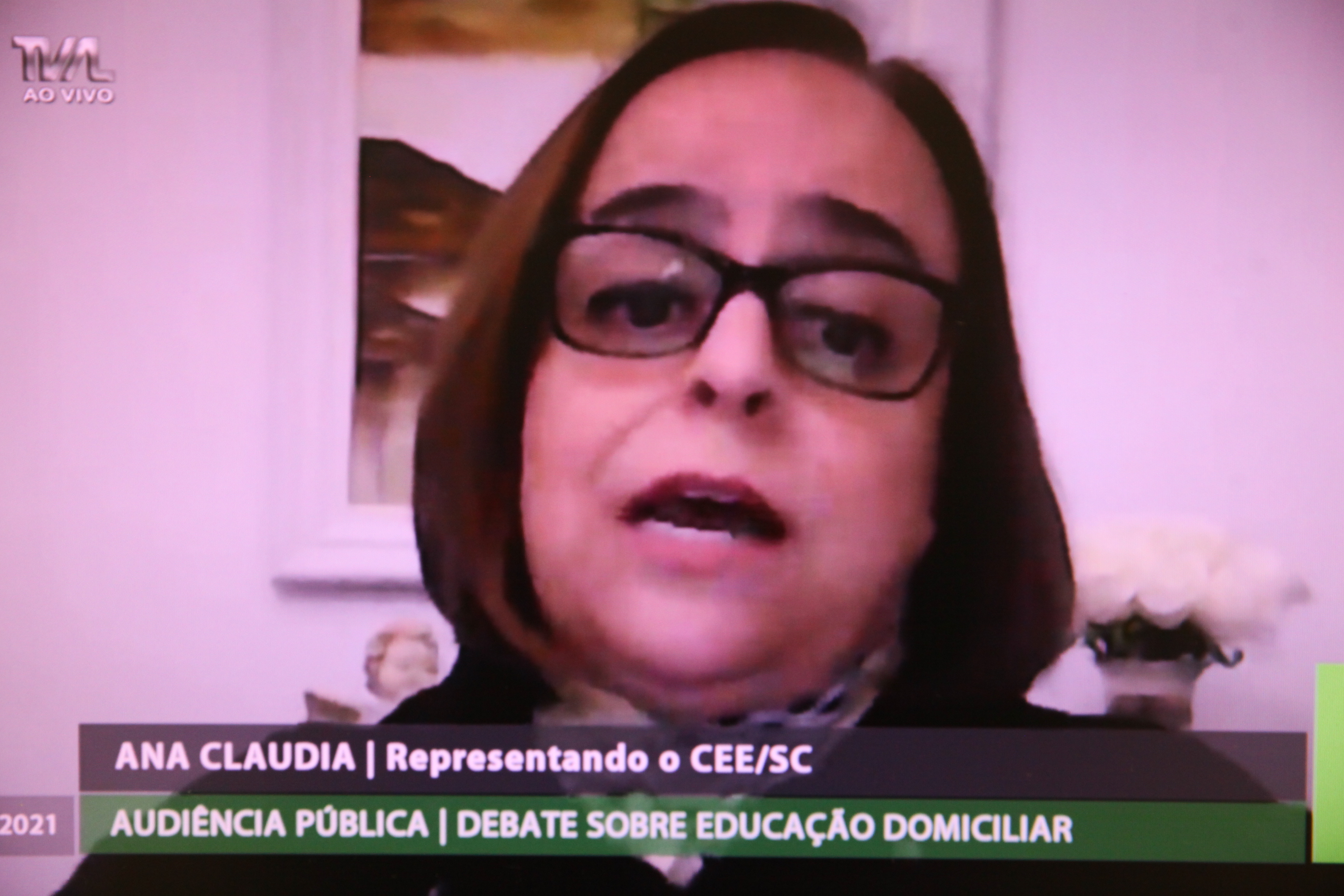 Audiência Pública Virtual - Previsão de Educação Domiciliar - Ana Cláudia (CEE/SC)