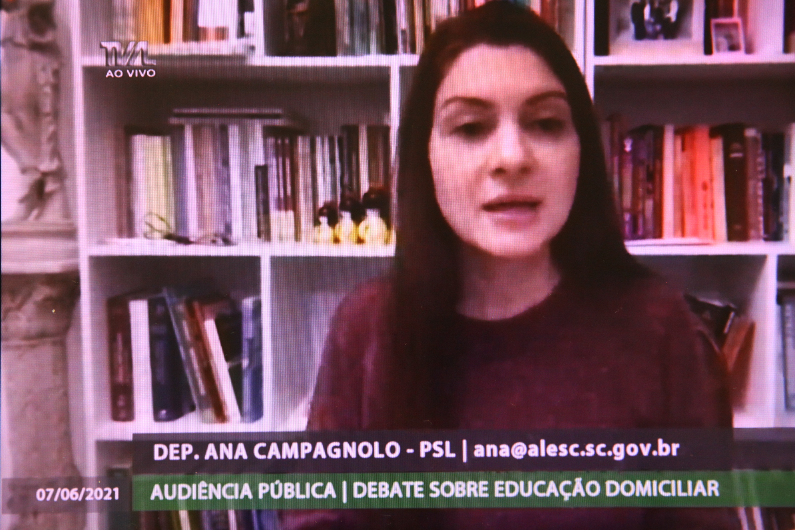 Audiência Pública Virtual - Previsão de Educação Domiciliar - Deputada Ana Caroline Campagnolo (PSL)