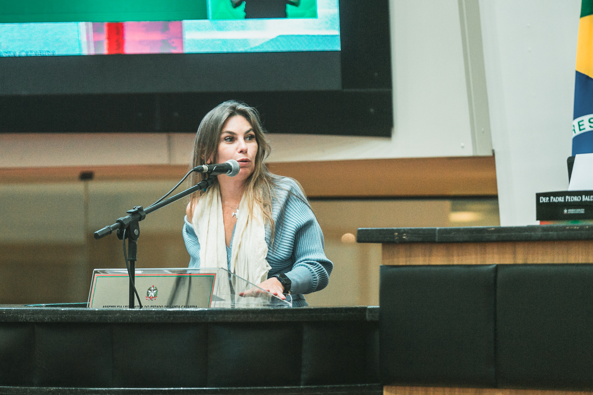 Deputada Ana Paula da Silva (PDT)