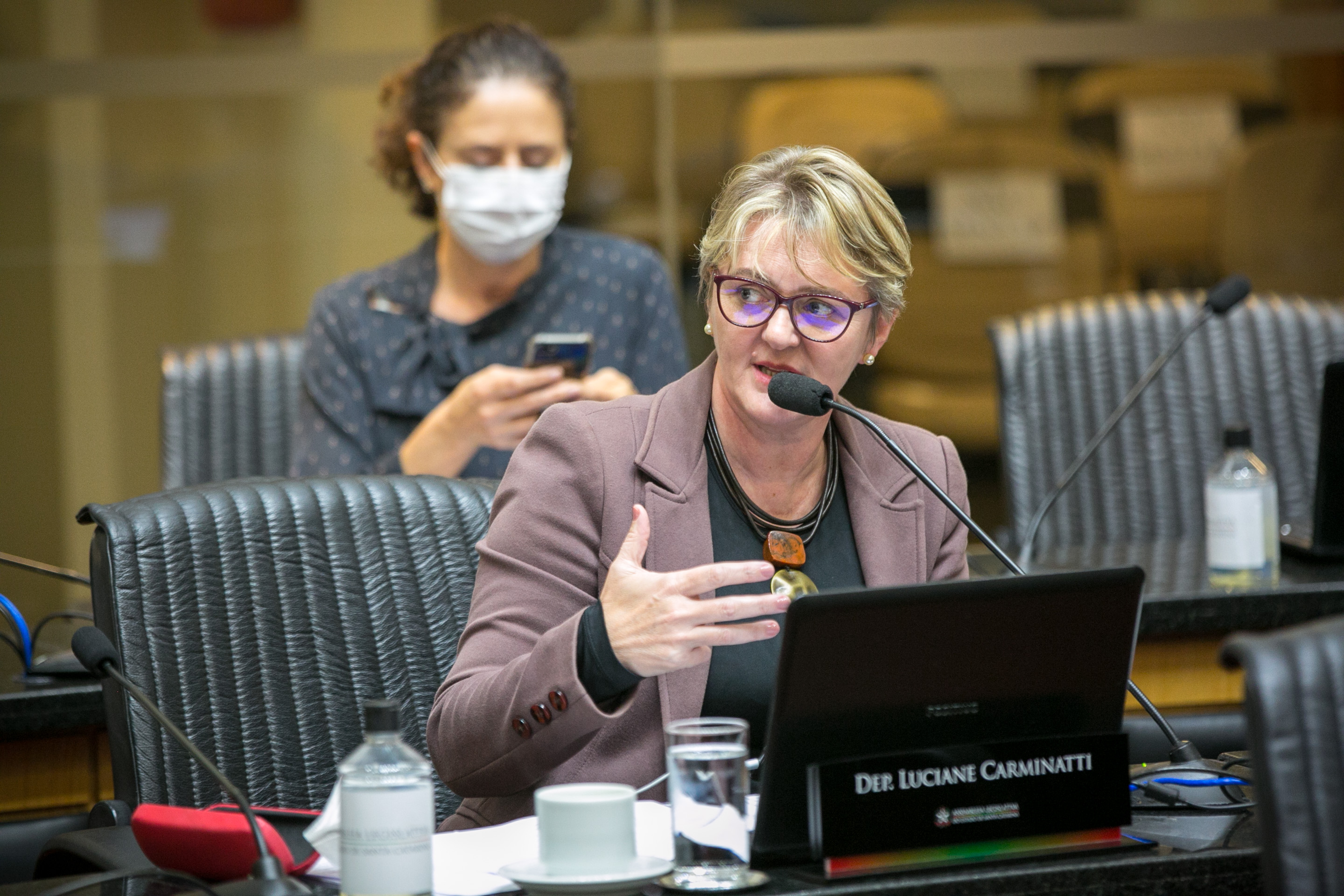 Deputada Luciane Carminatti (PT)
