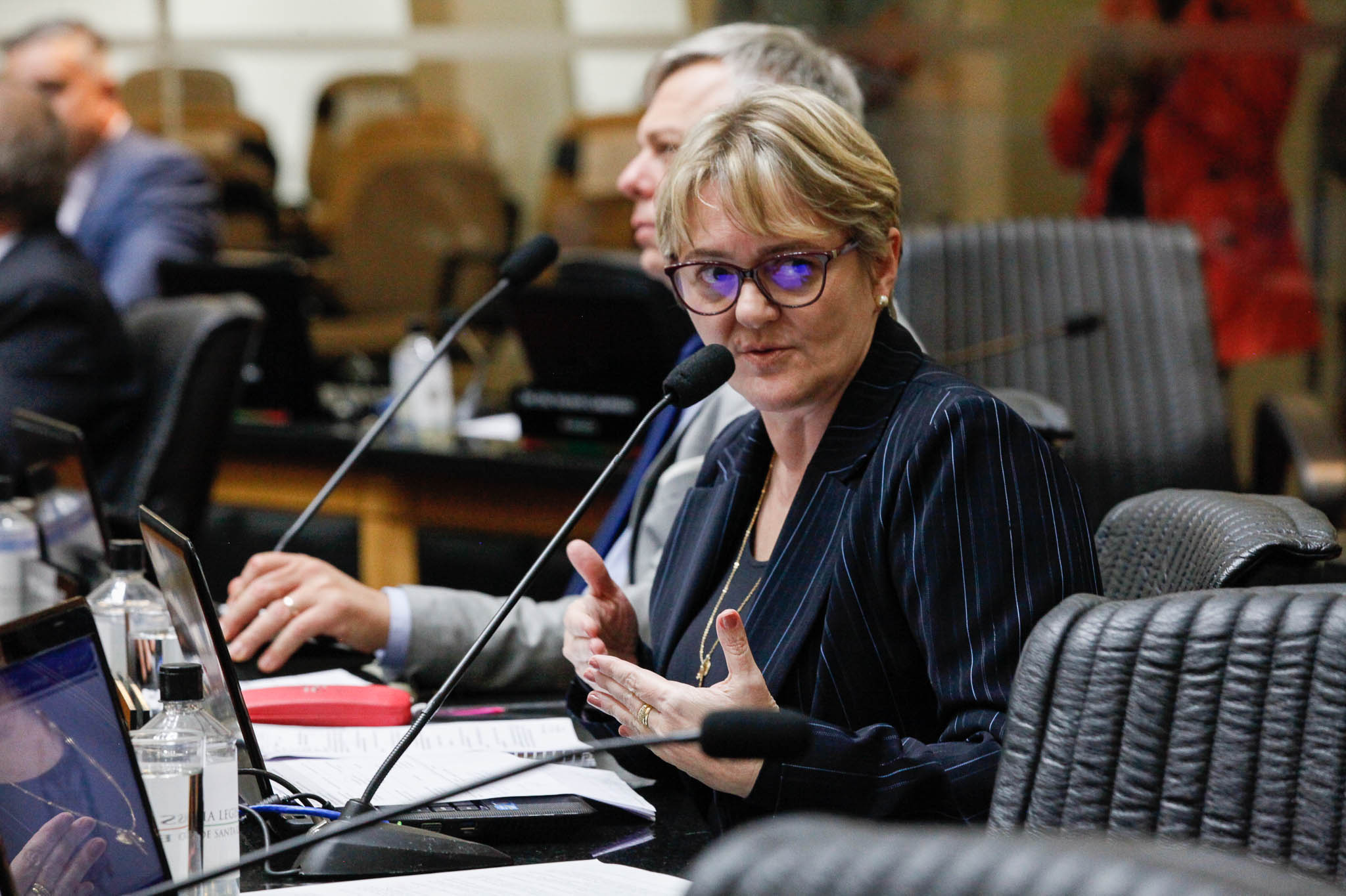 Deputada Luciane Carminatti (PT)
