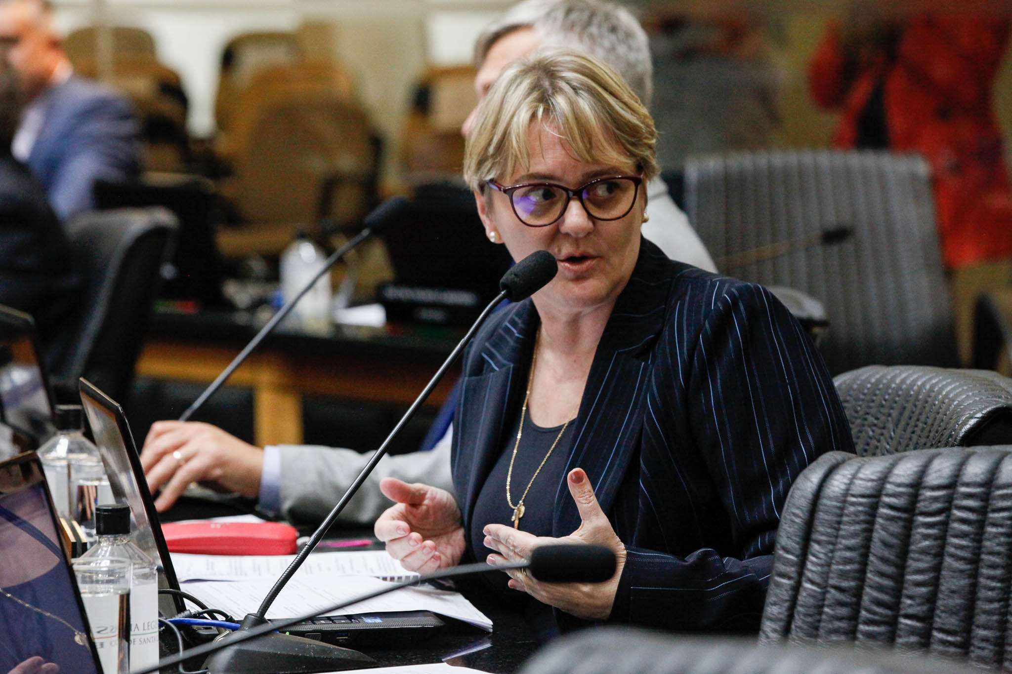 Deputada Luciane Carminatti (PT)