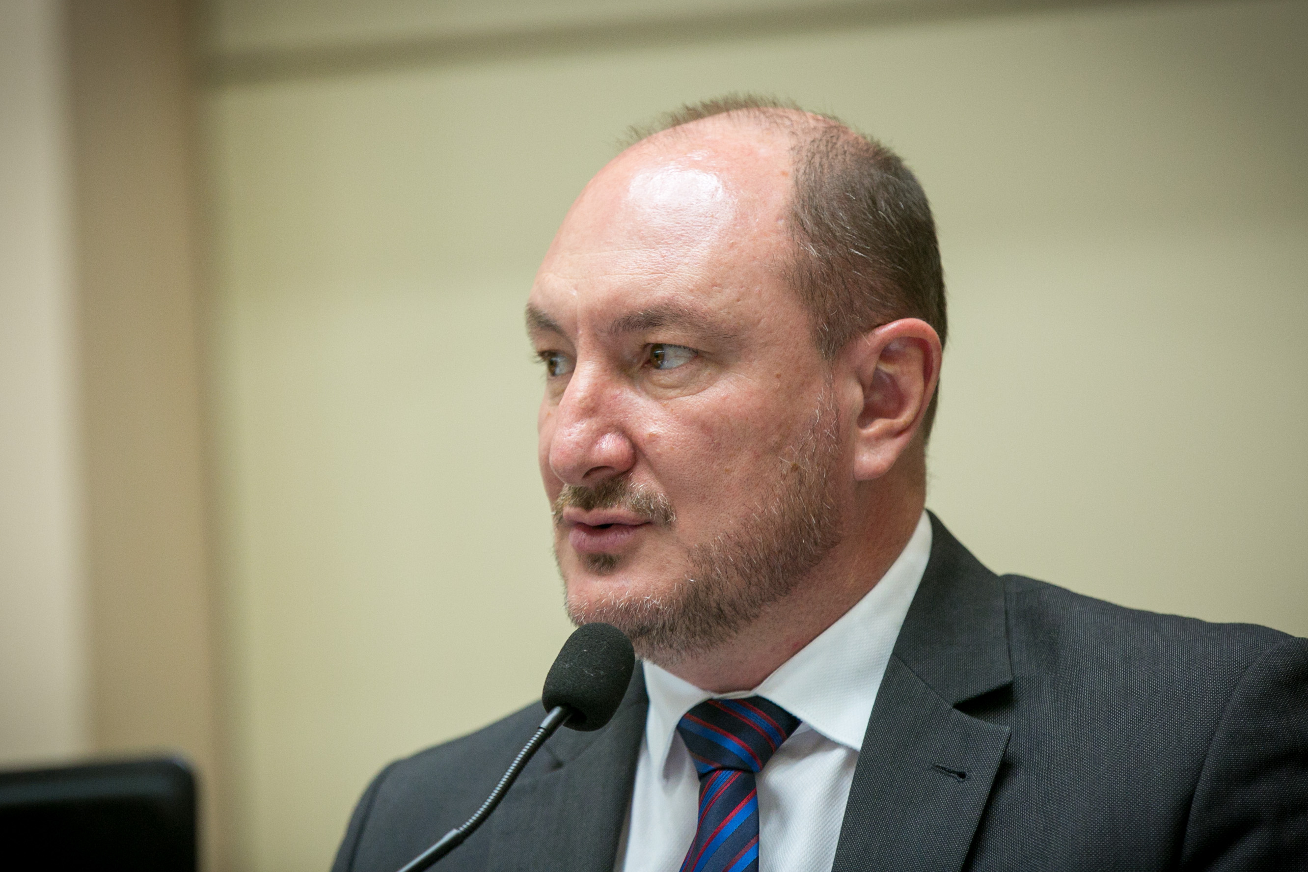 Deputado Mauro de Nadal (MDB)
