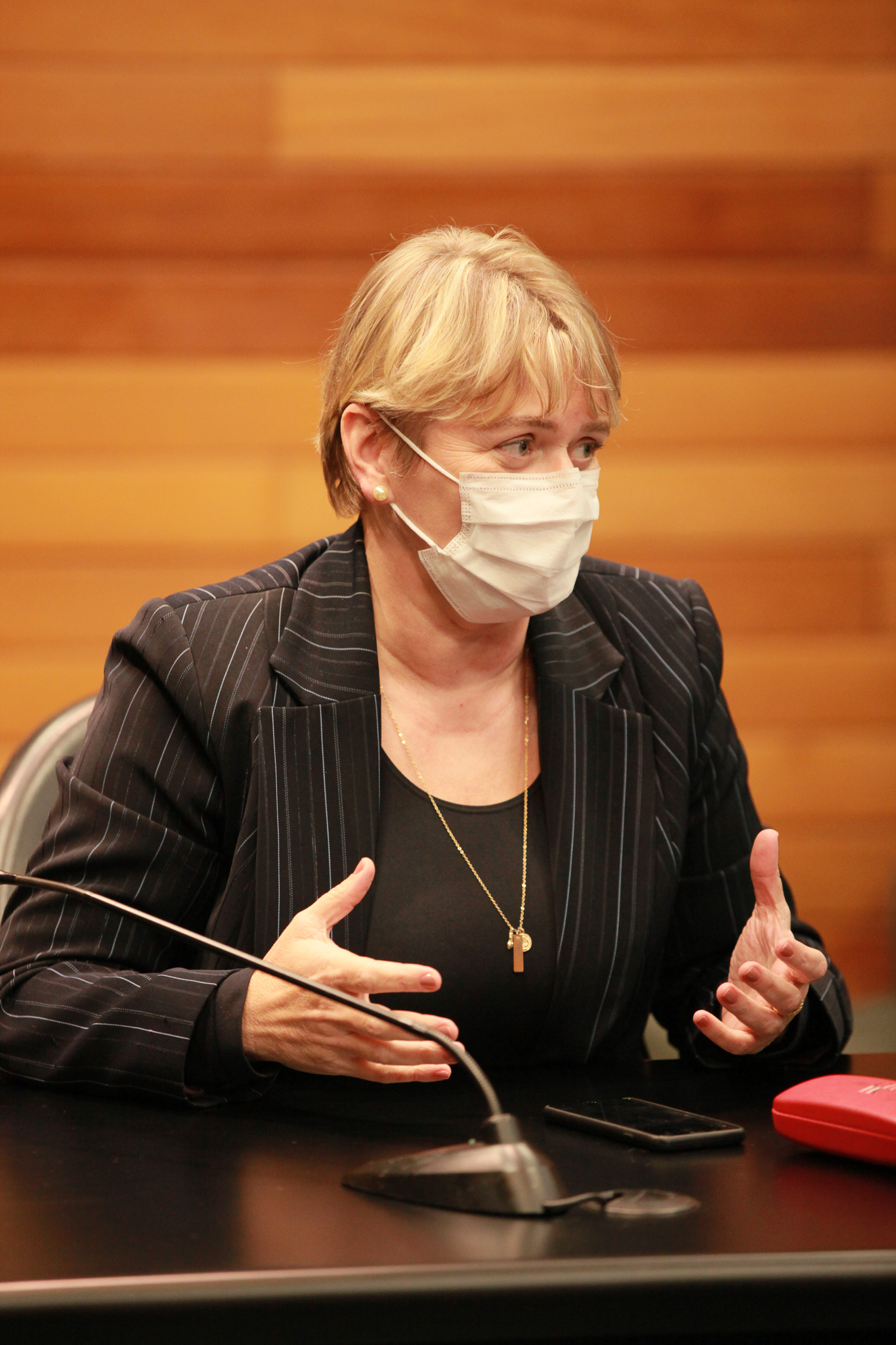 Deputada Luciane Carminatti (PT)