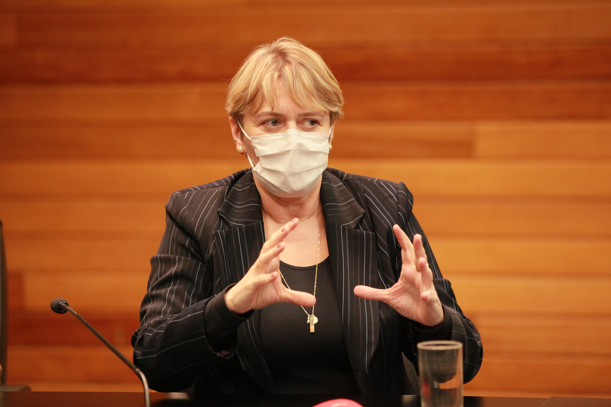 Deputada Luciane Carminatti (PT)