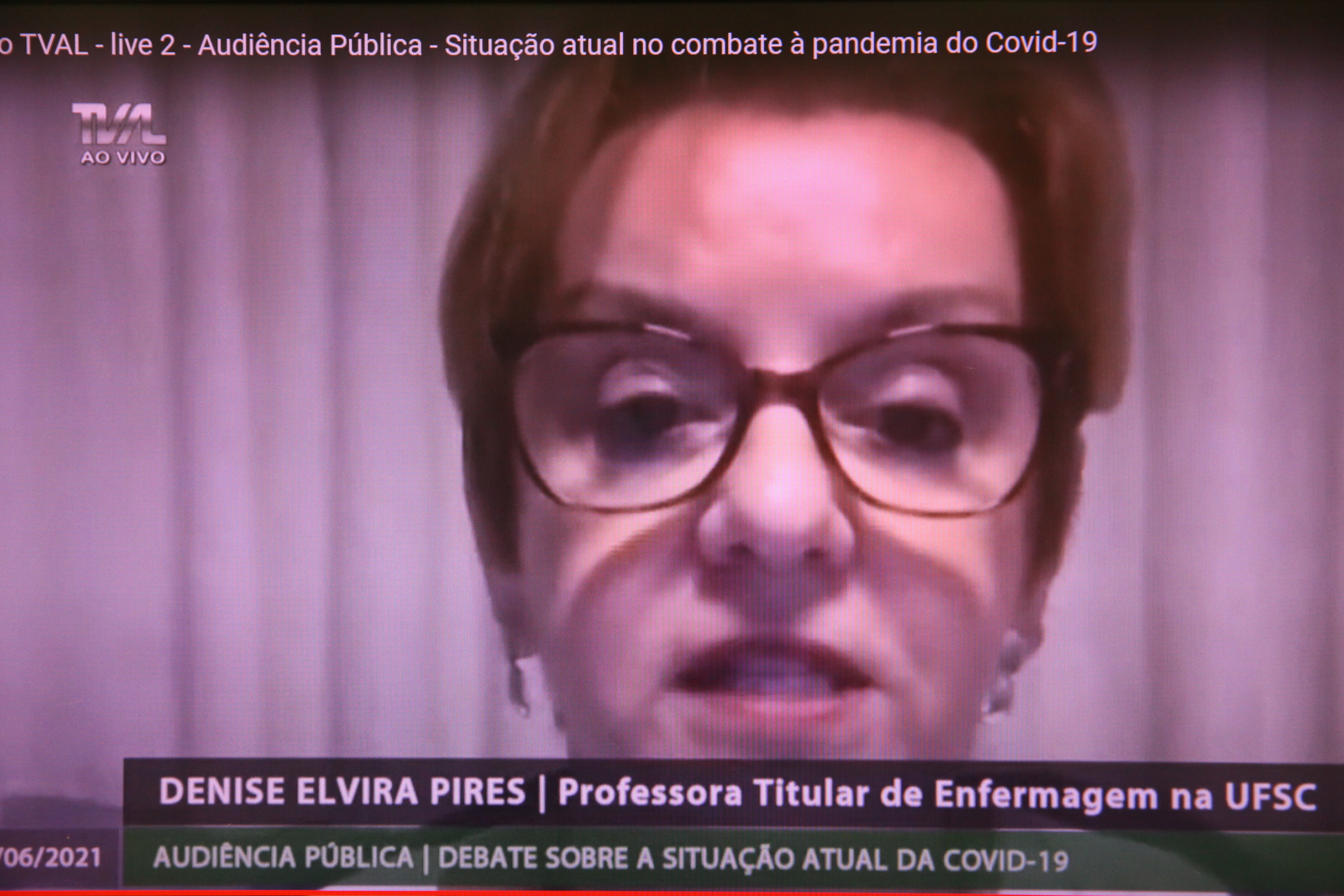 Comissão de Saúde - A situação atual no combate à pandemia do Covid-19 e a compra de insumos - Denise Elvira Pires (professora da UFSC).