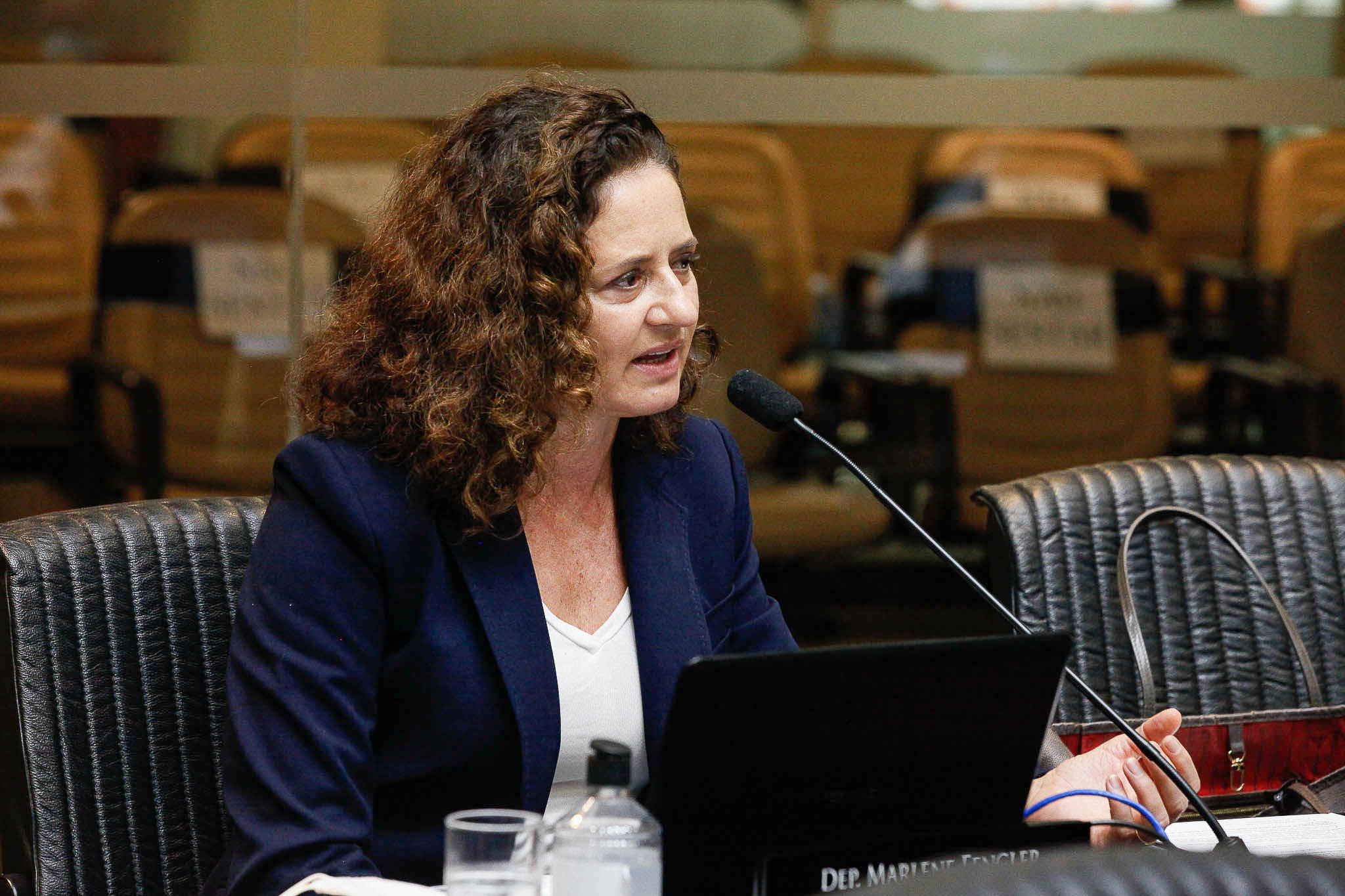Deputada Marlene Fengler (PSD)