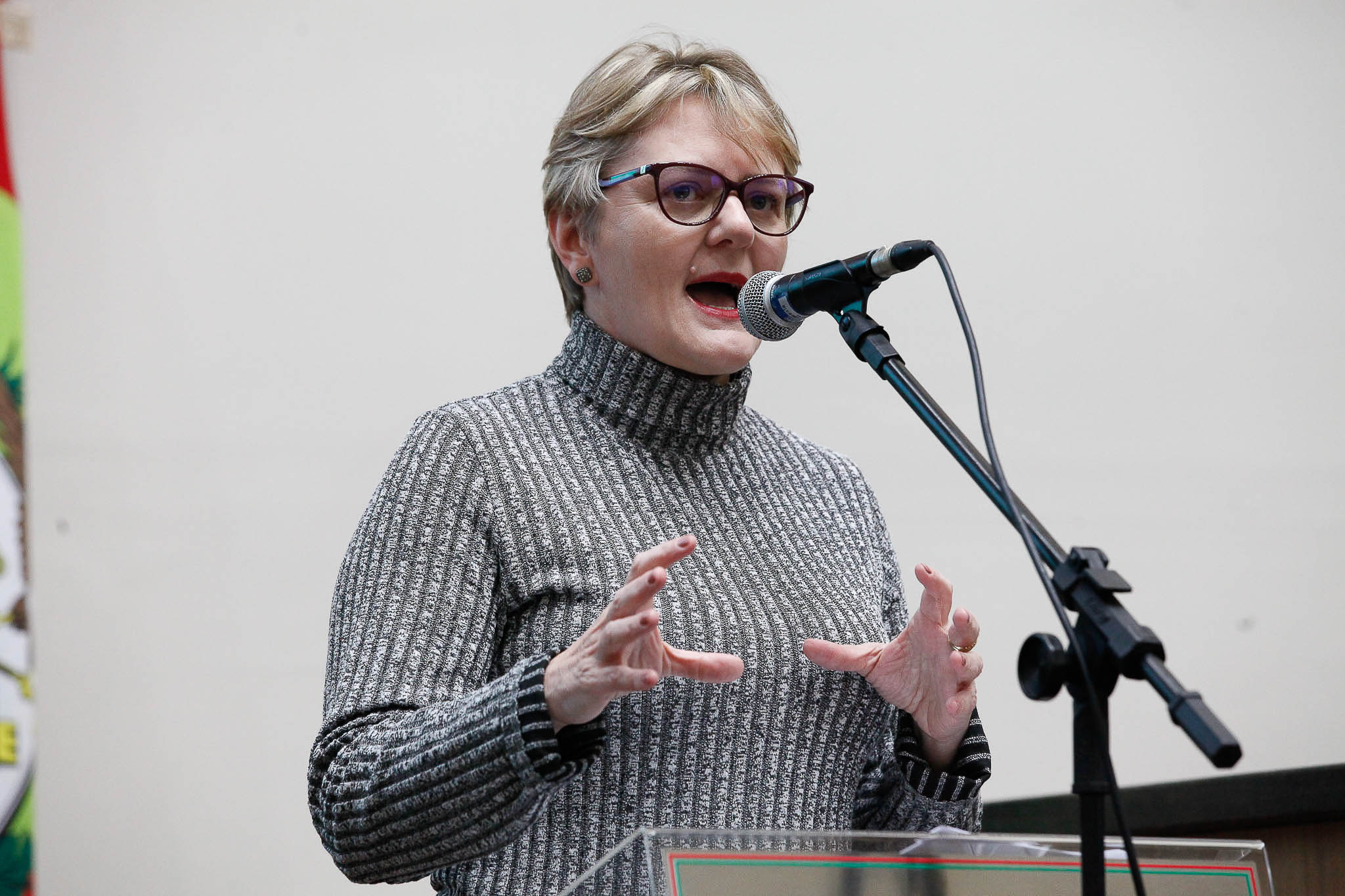 Deputada Luciane Carminatti (PT)